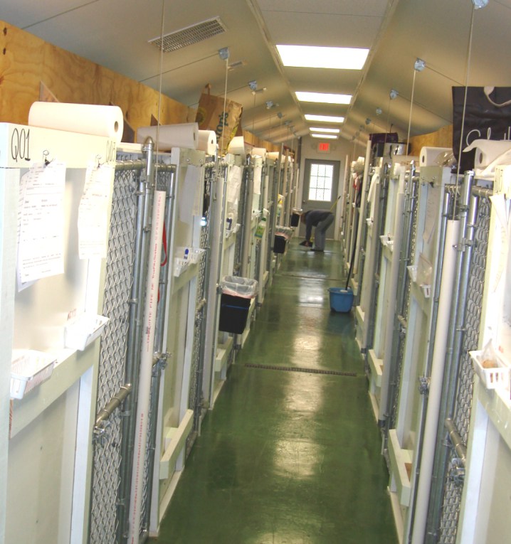 Wagging Tails Kennel Moseley