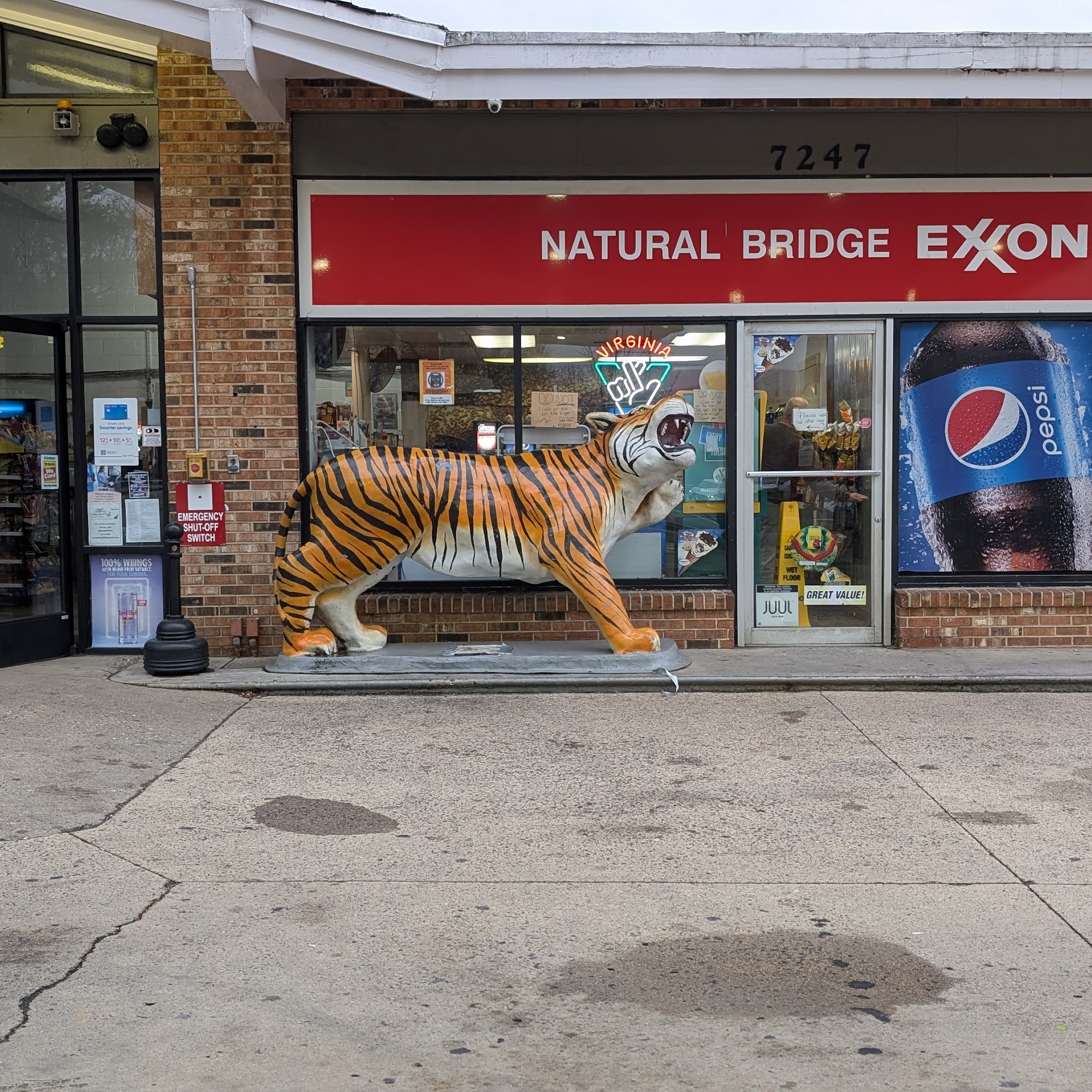 Exxon Natural Bridge