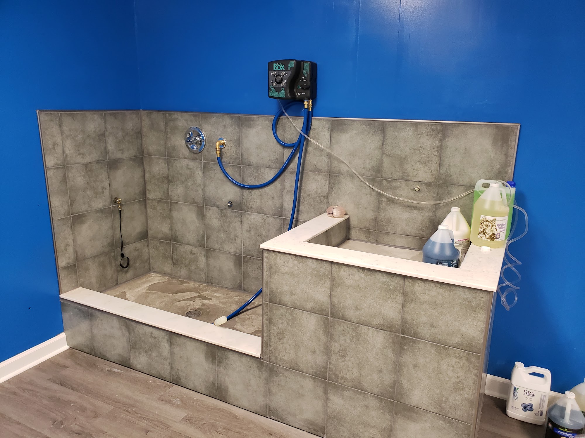 Fuzzy Feet Pet Salon Newport News