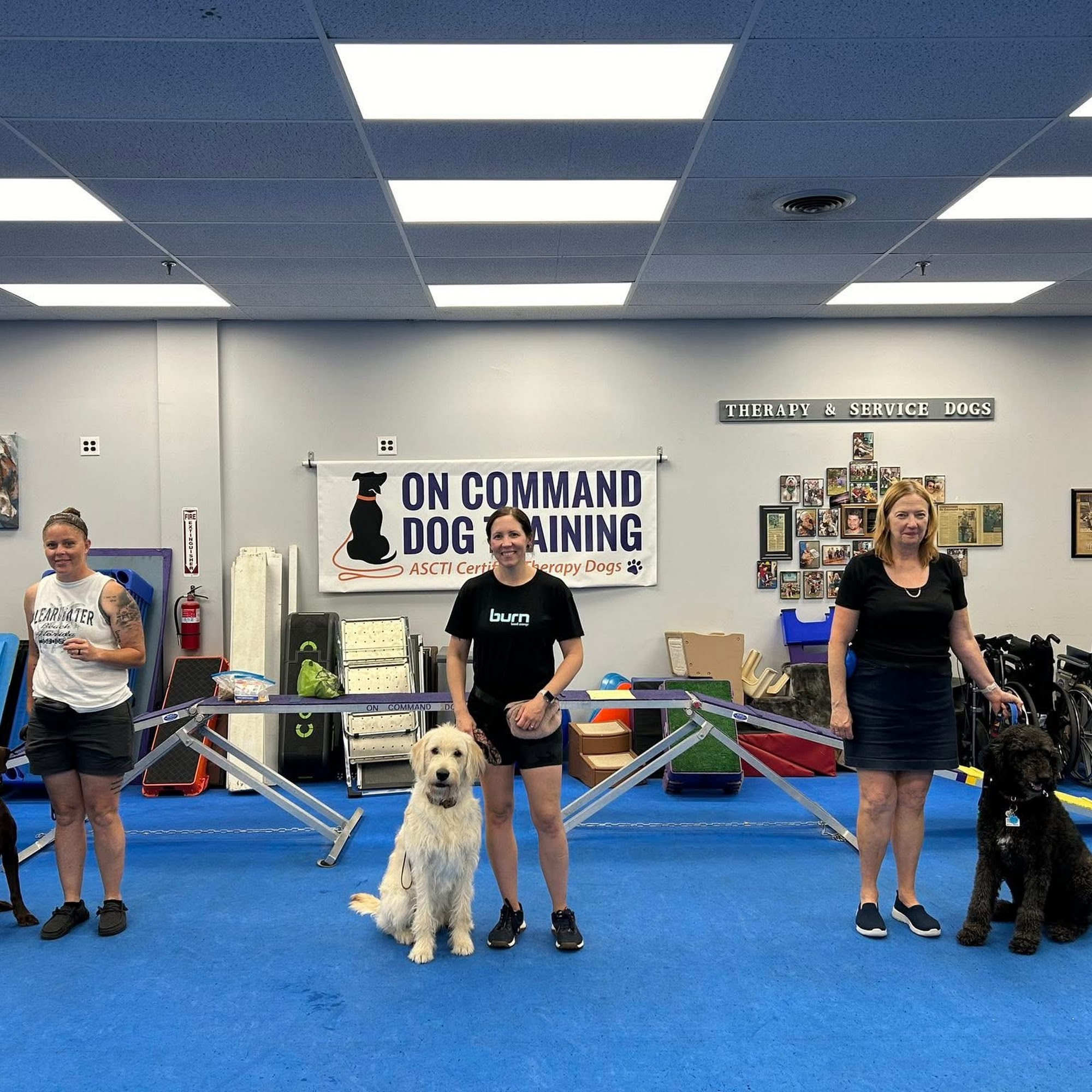 On Command Dog Training LLC Newport News