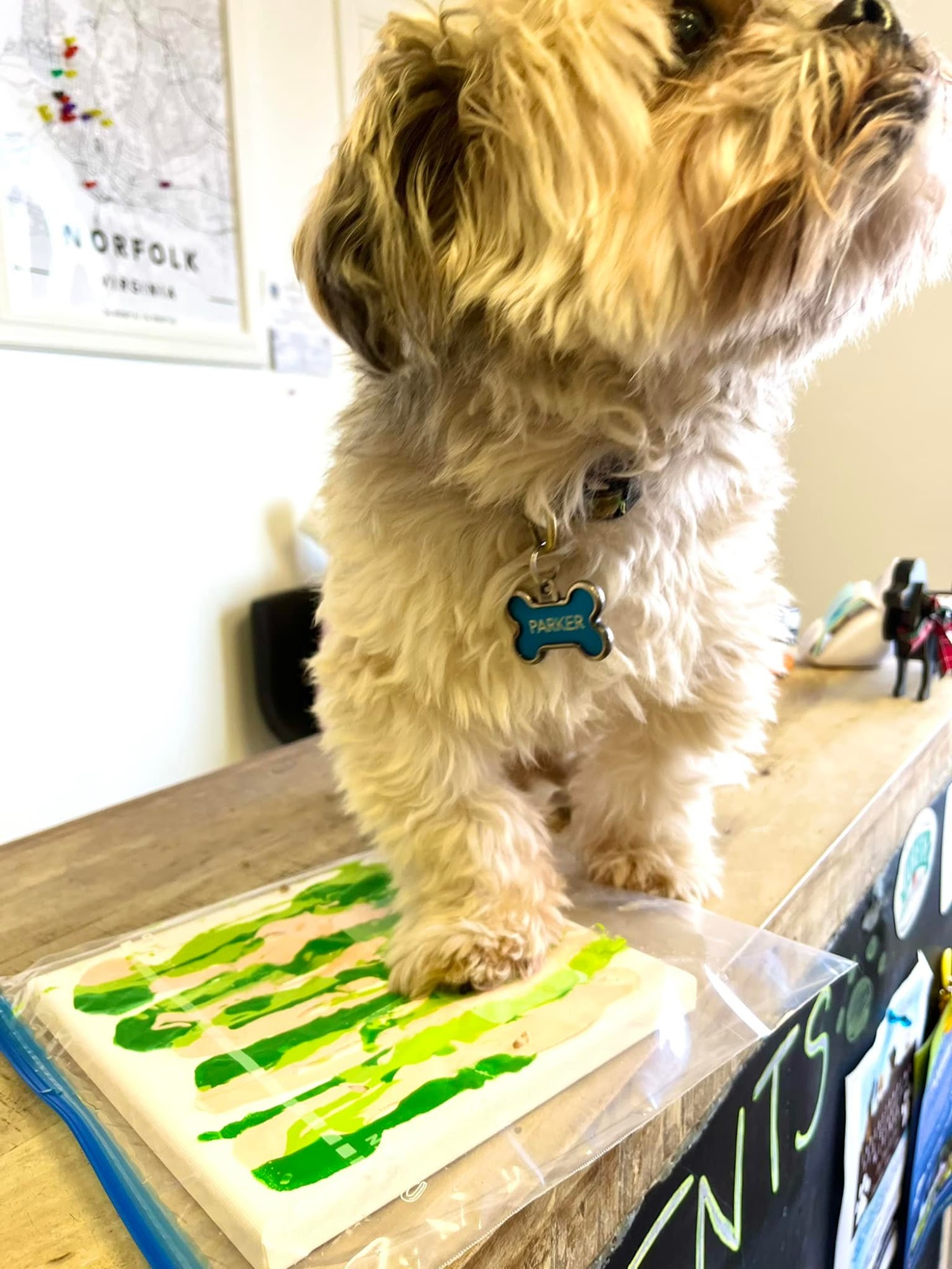 Pawsnickety Pets Norfolk