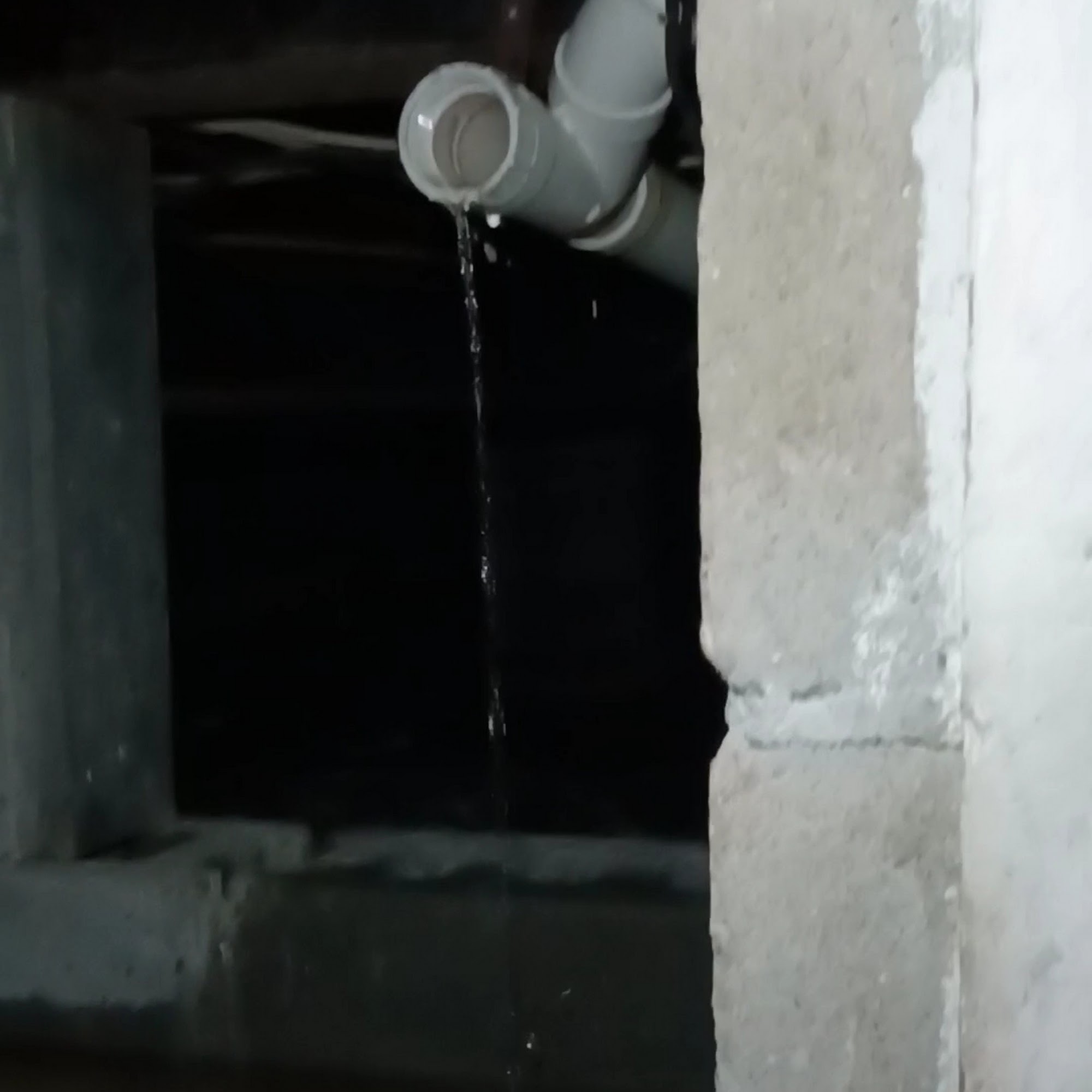 The Crawlspace Company