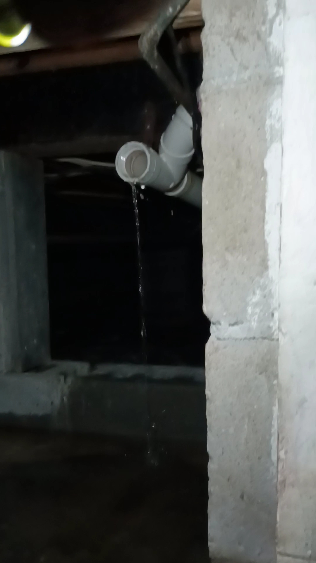 The Crawlspace Company