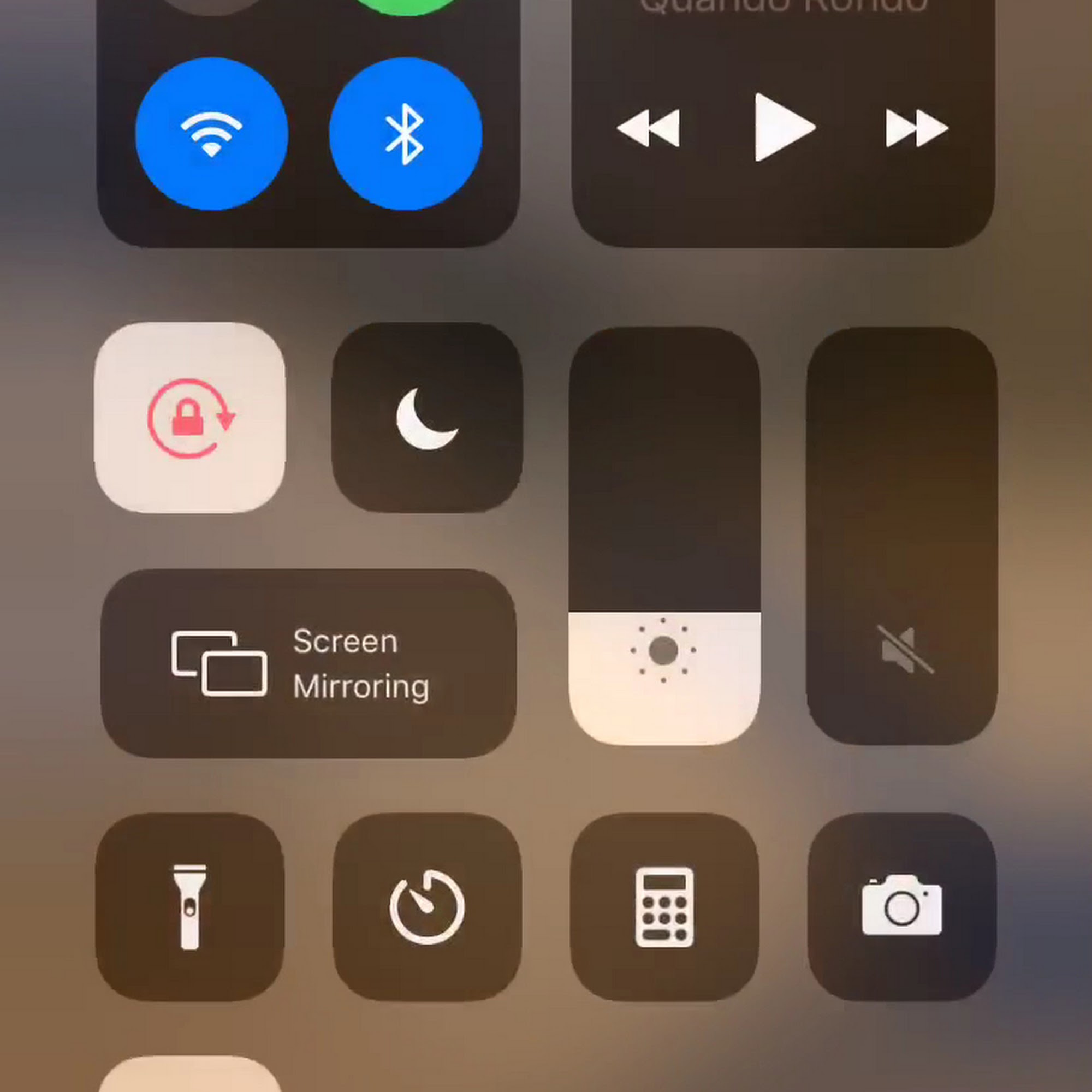 Norfolk Carpet Cleaner