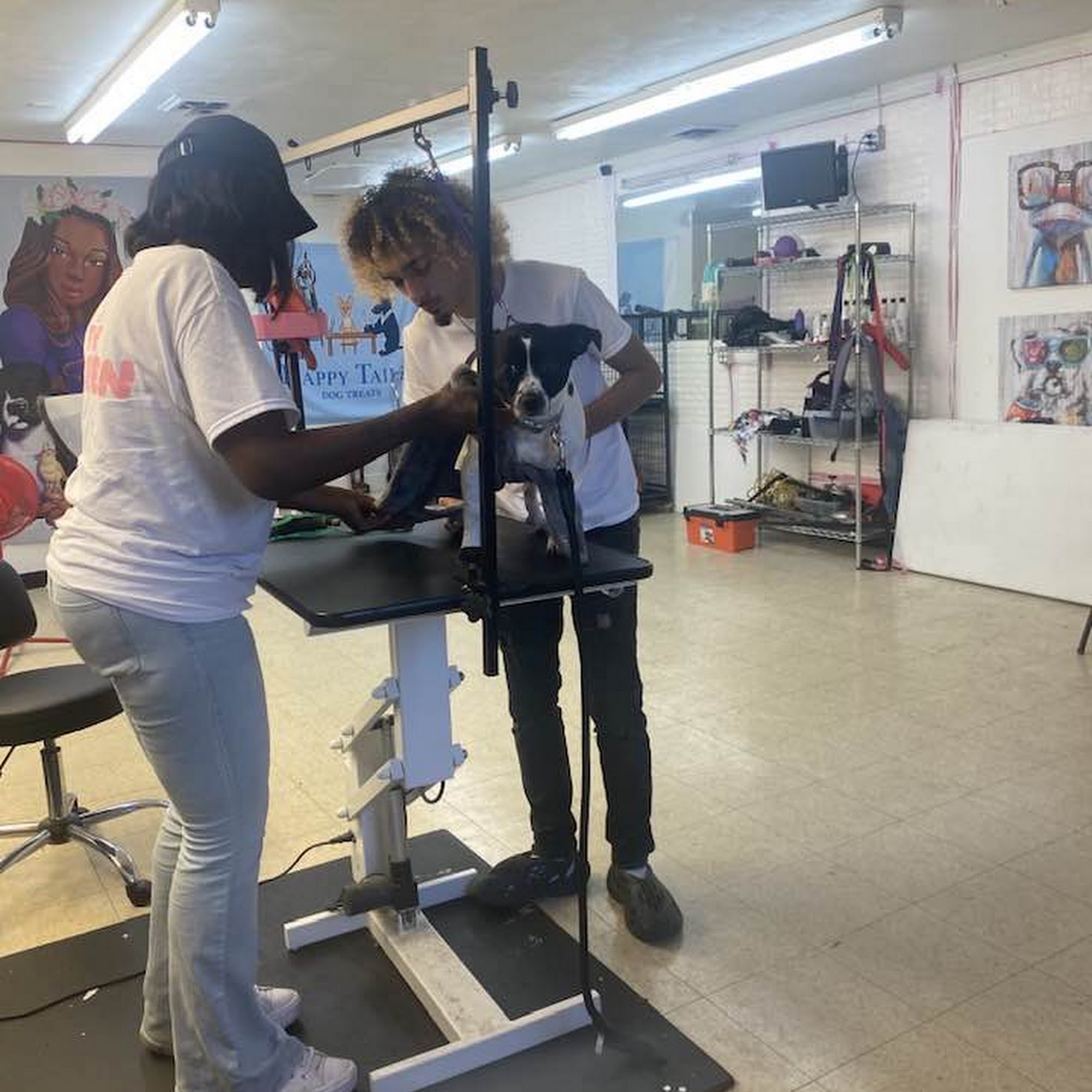 Queen of the Paws Norfolk