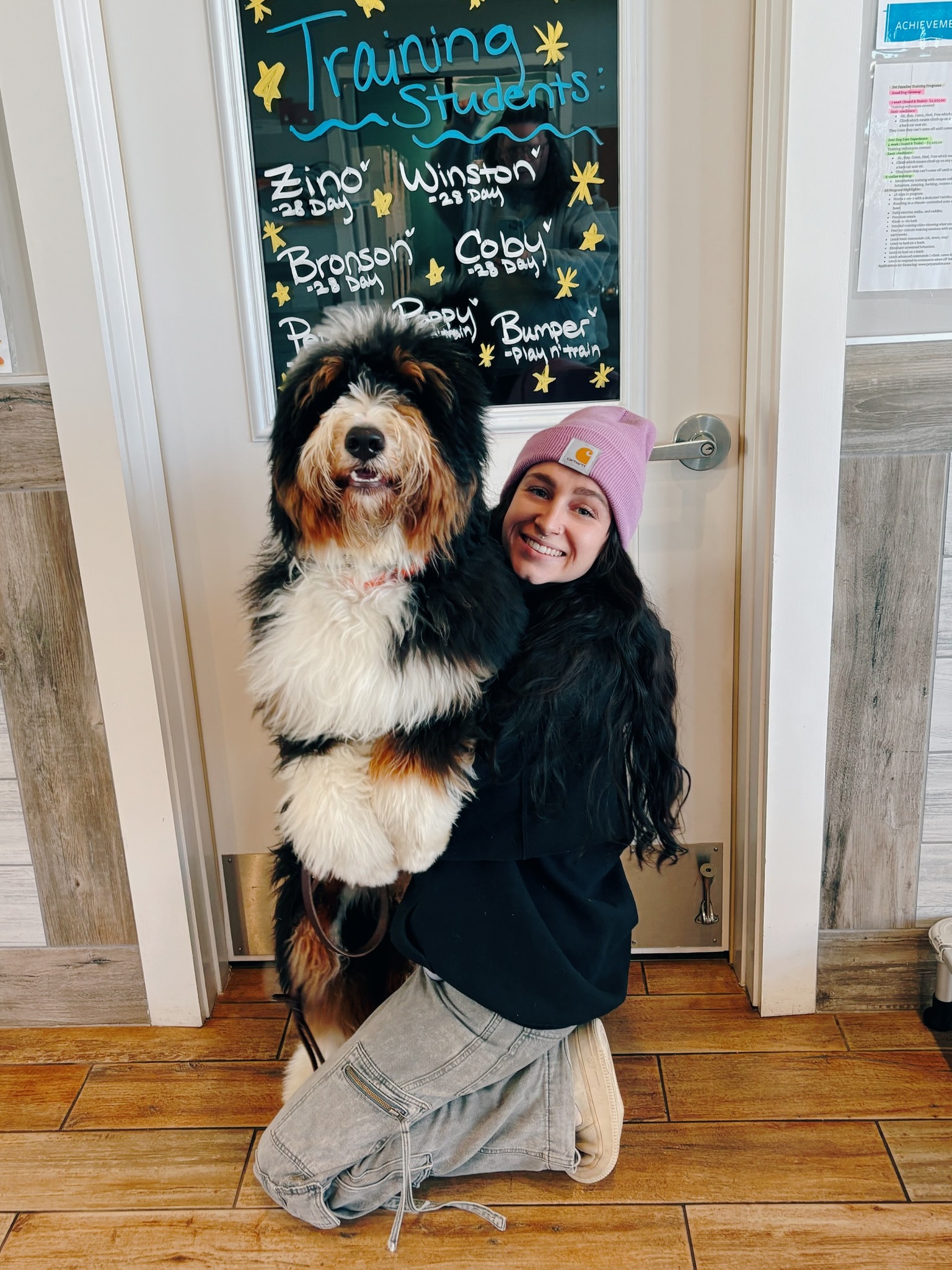 Pet Paradise Chesterfield North Chesterfield