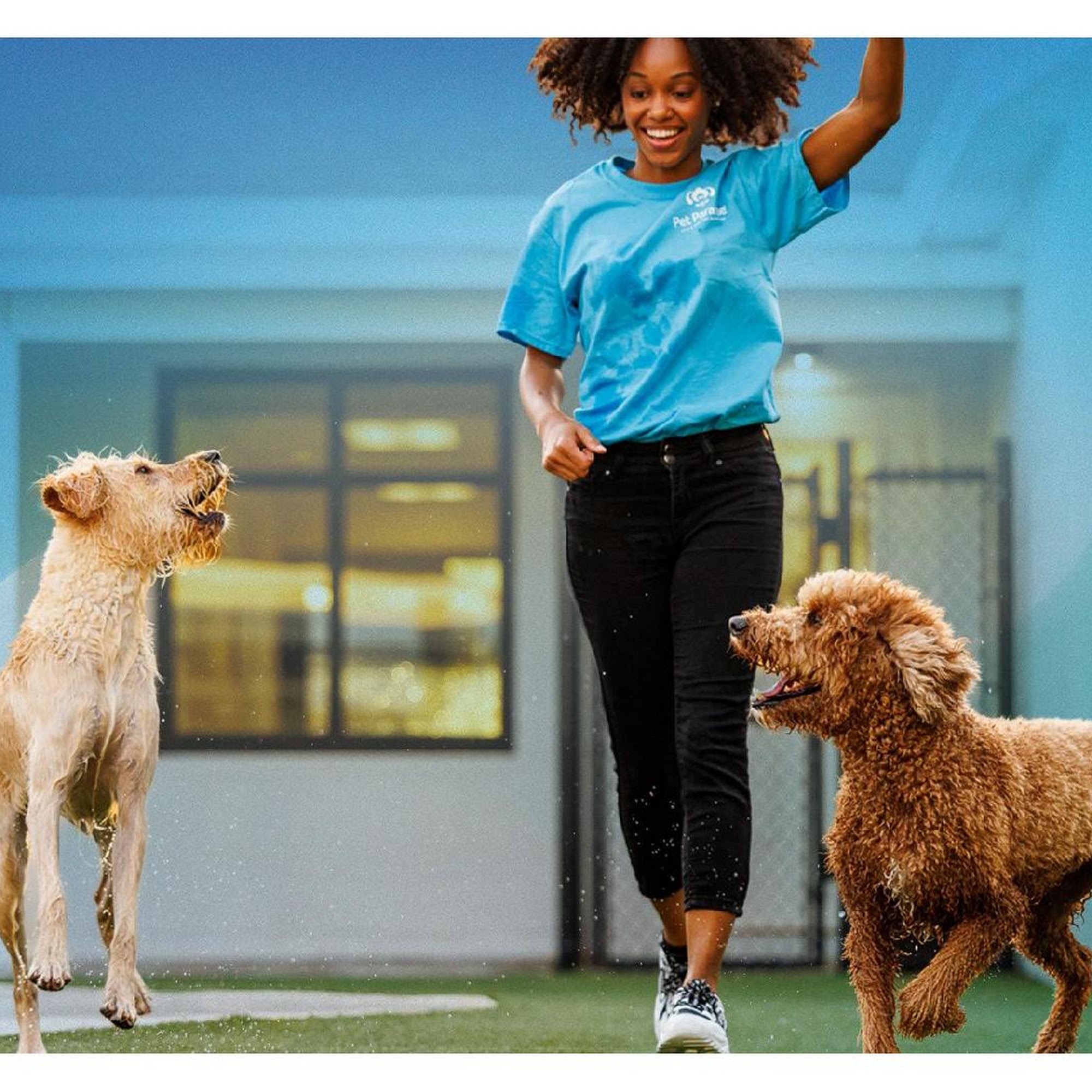 Pet Paradise Chesterfield North Chesterfield