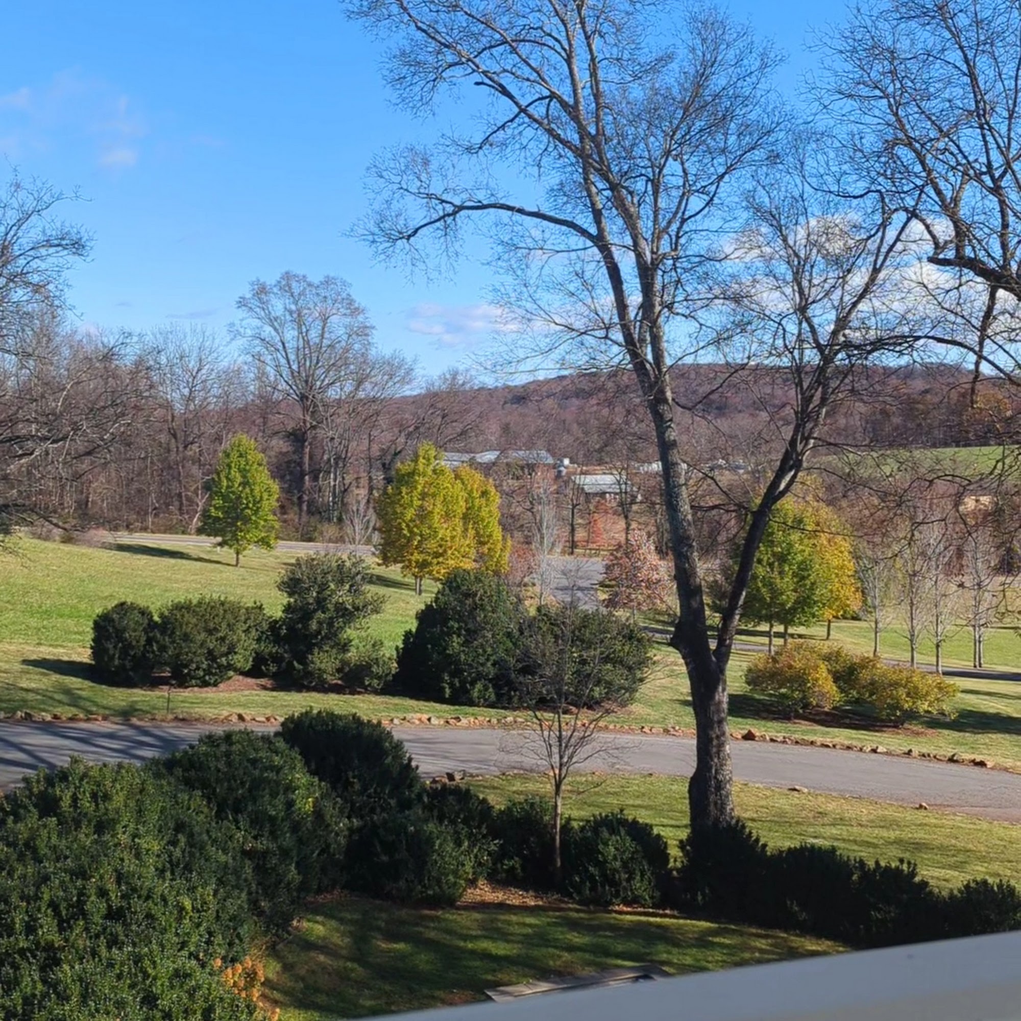 Inn At Willow Grove Orange