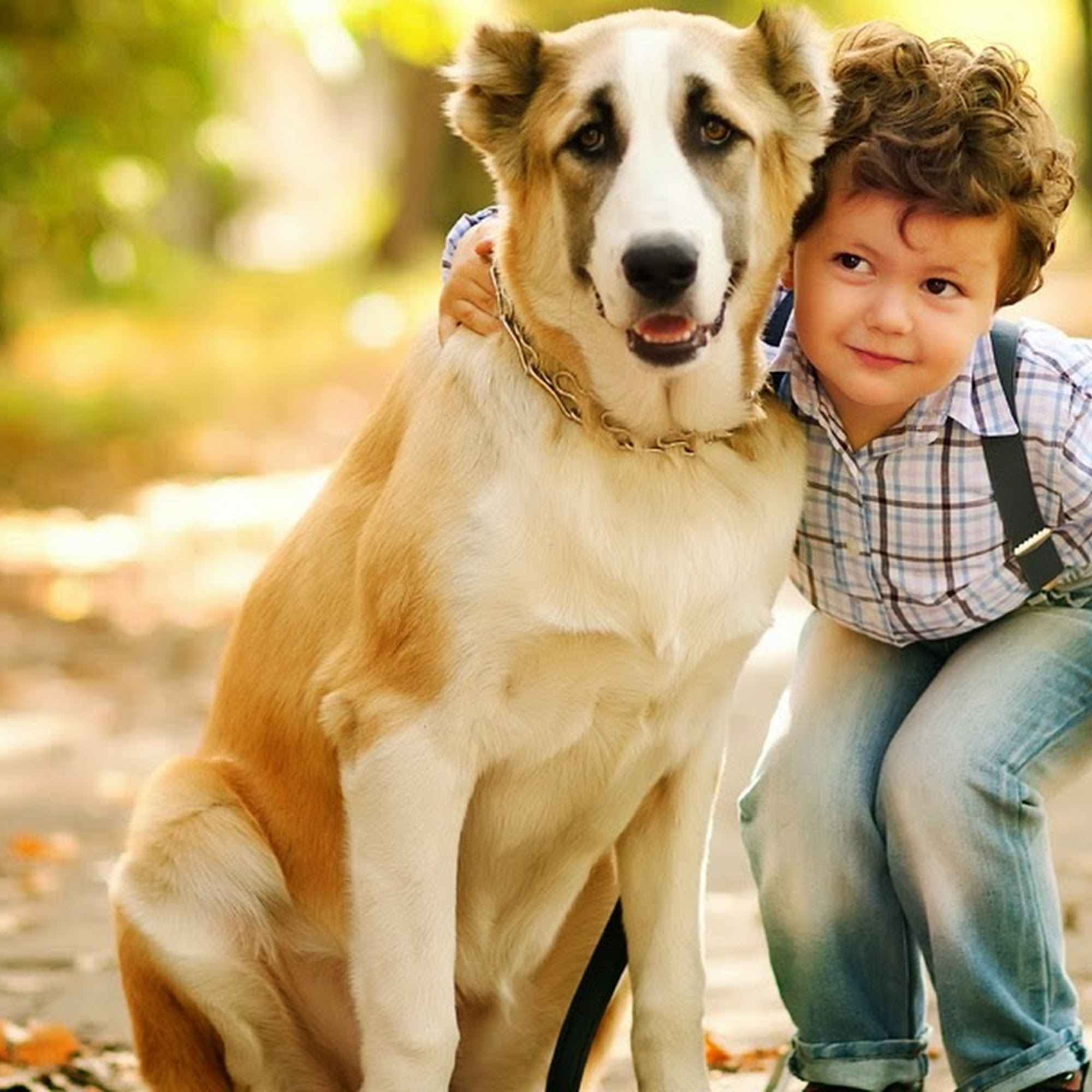 Orange Veterinary Clinic Orange