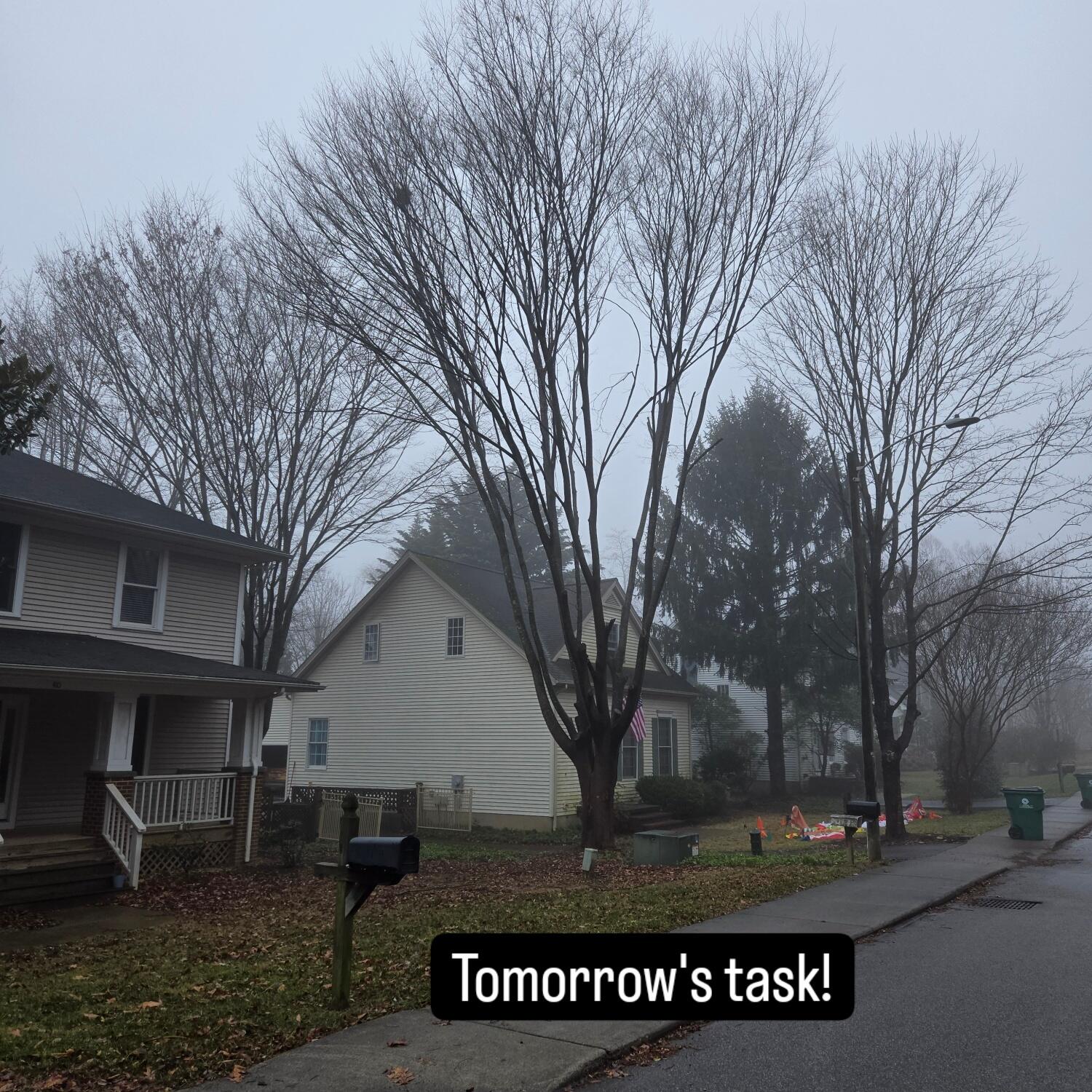 Photo credit: nextdoor