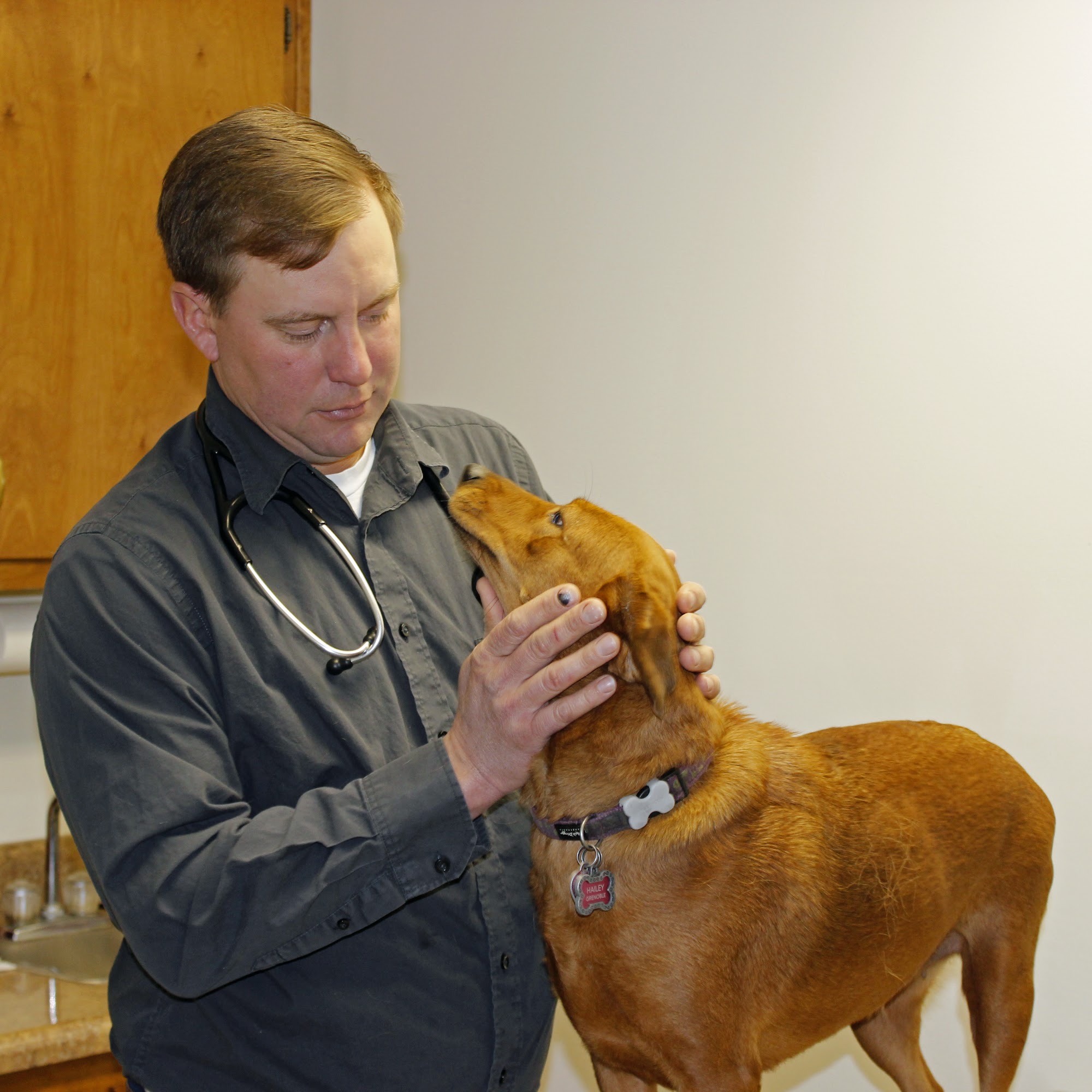 Chesdin Animal Hospital Petersburg