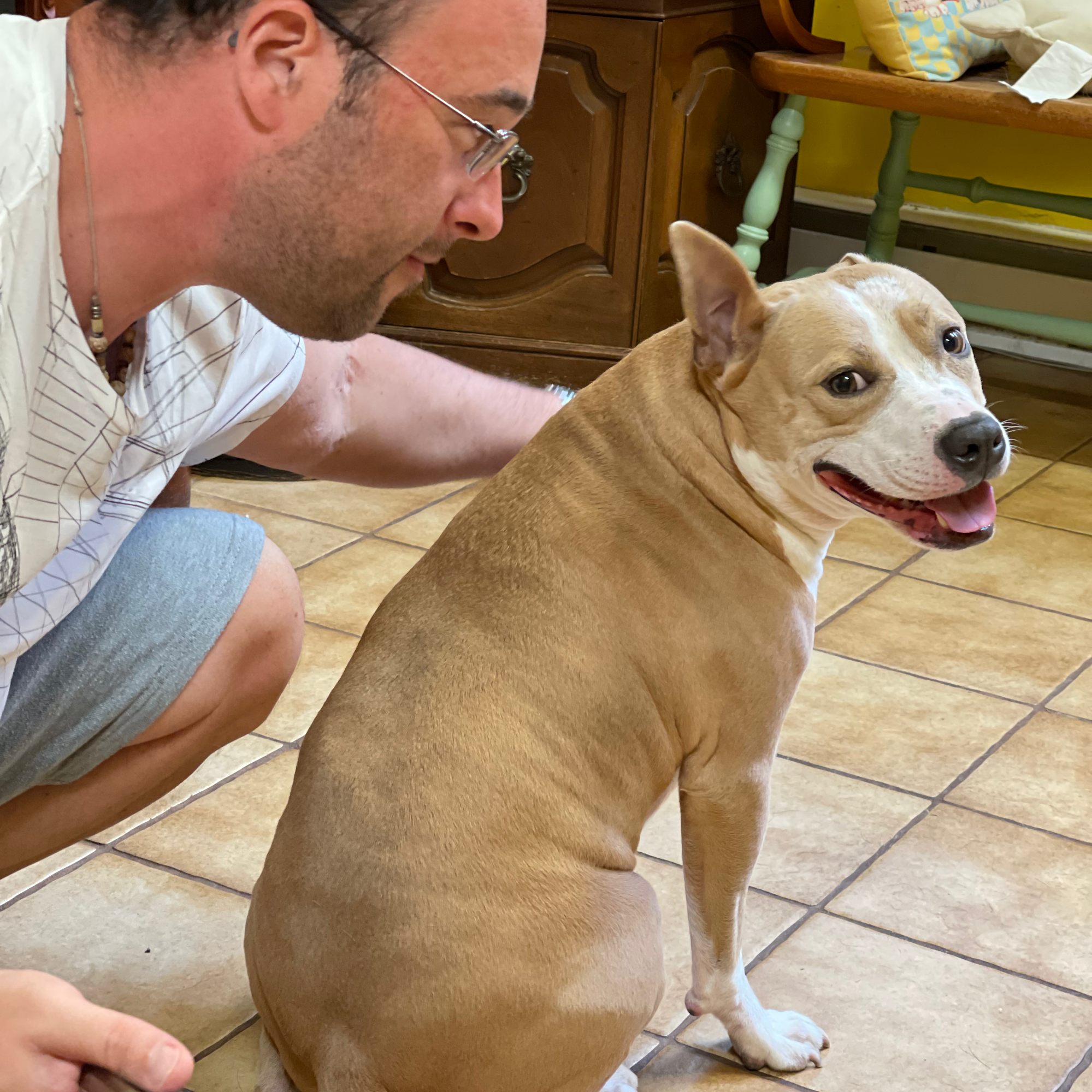 Countryside Bed & Biscuit For Pets, Ltd. Powhatan