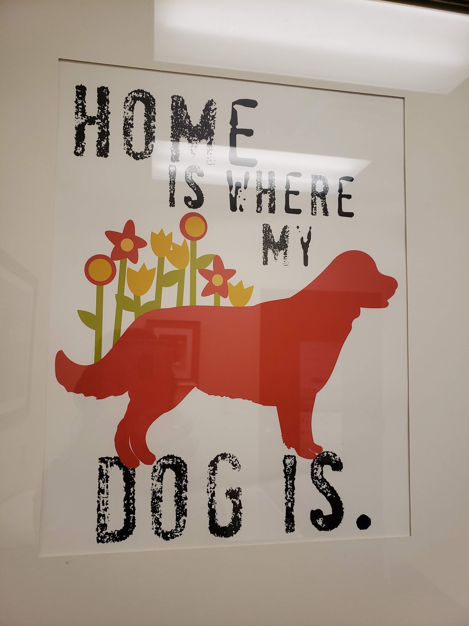 Chickahominy Animal Hospital Providence Forge