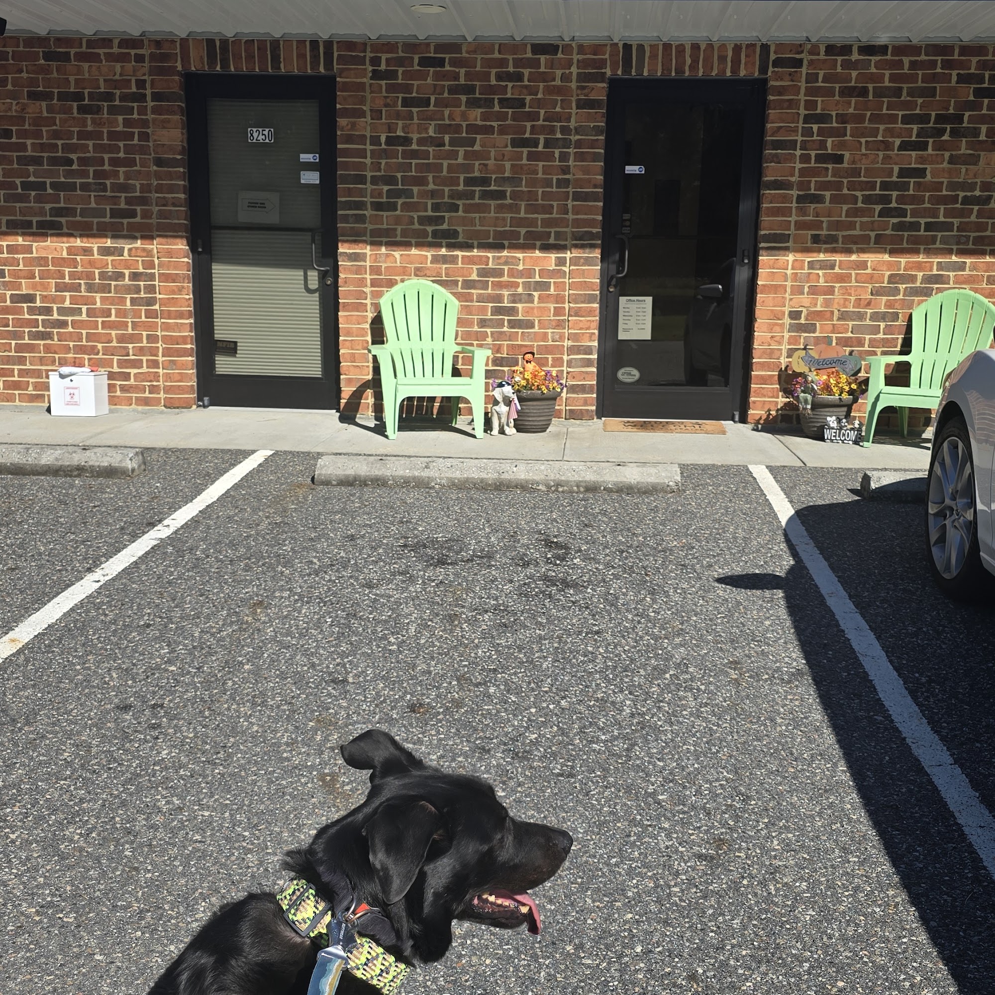 Chickahominy Animal Hospital Providence Forge