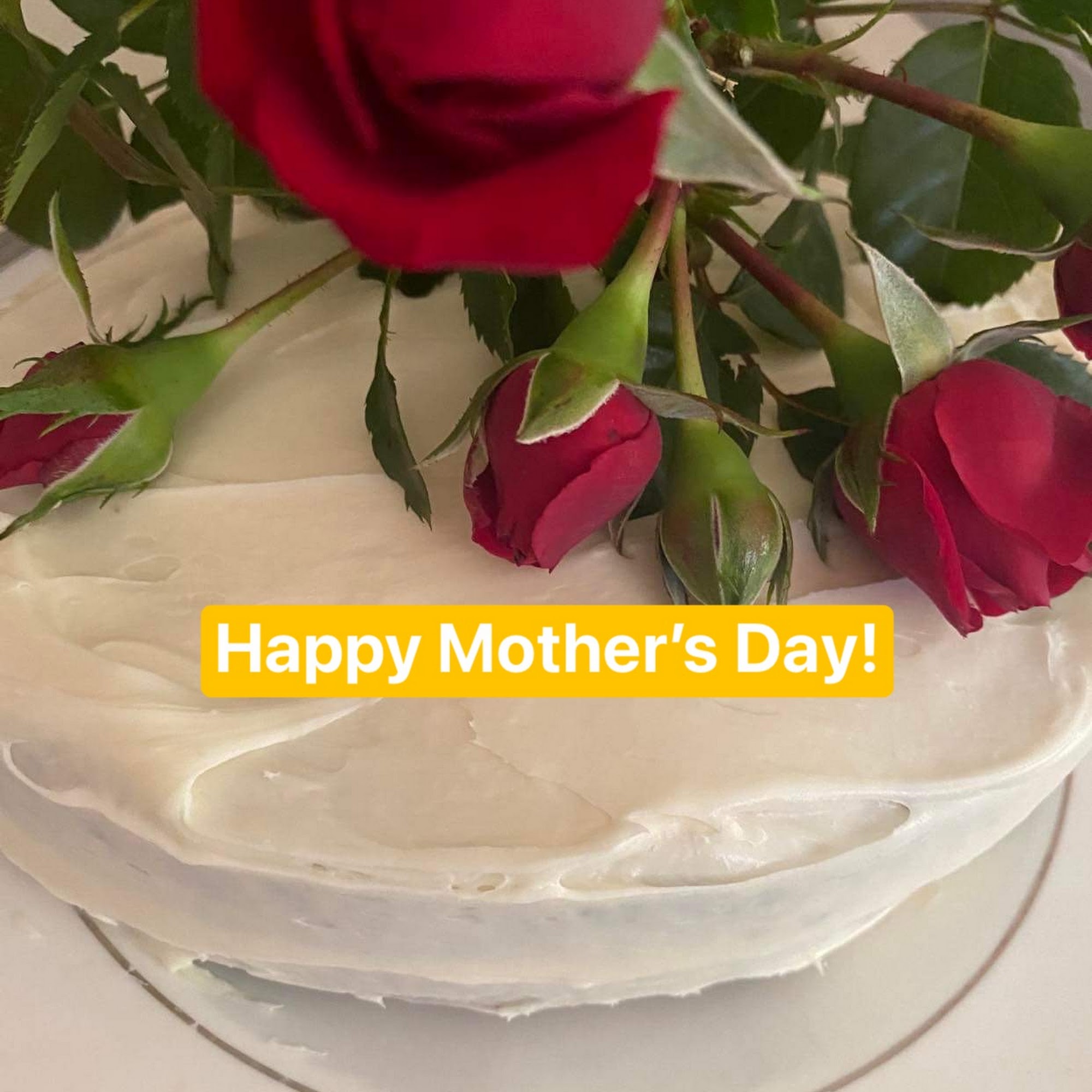 The Williamsburg Chocolatier Providence Forge