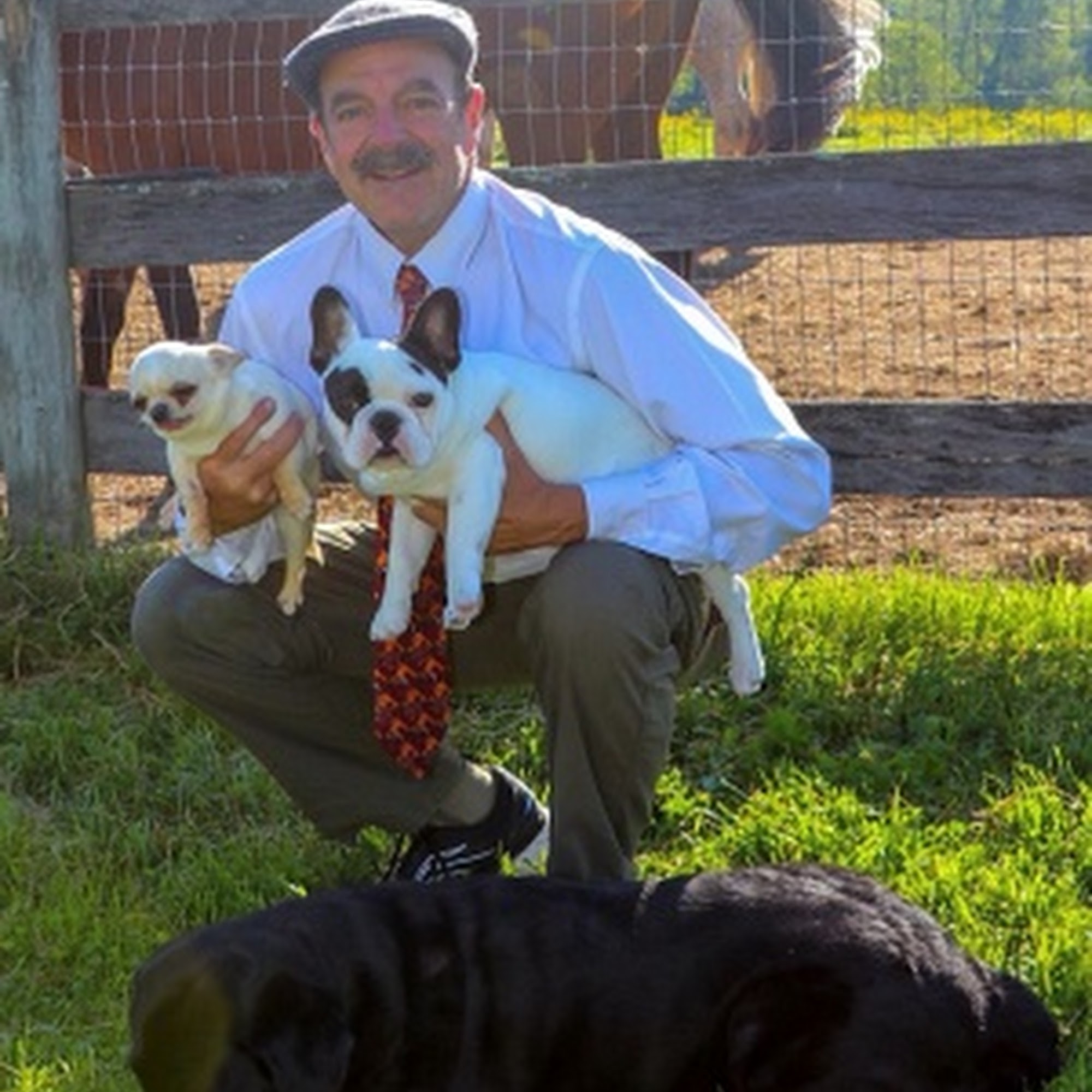 Loudoun Veterinary Service, Inc Purcellville