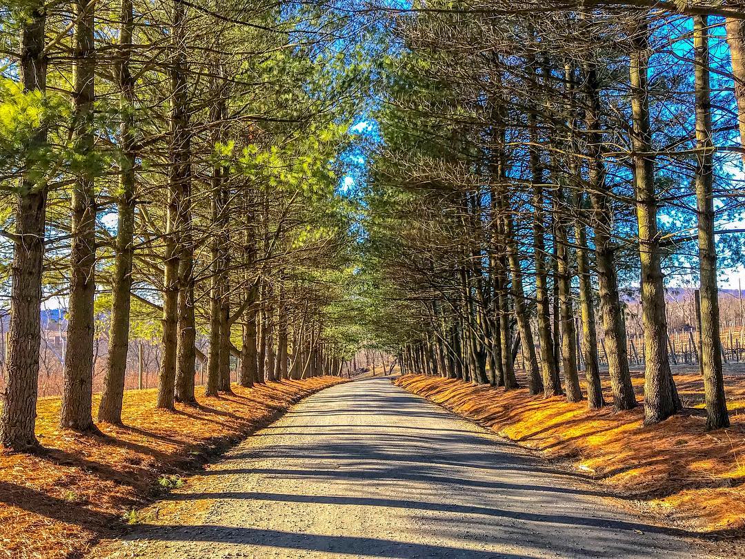 Sunset Hills Vineyard Purcellville