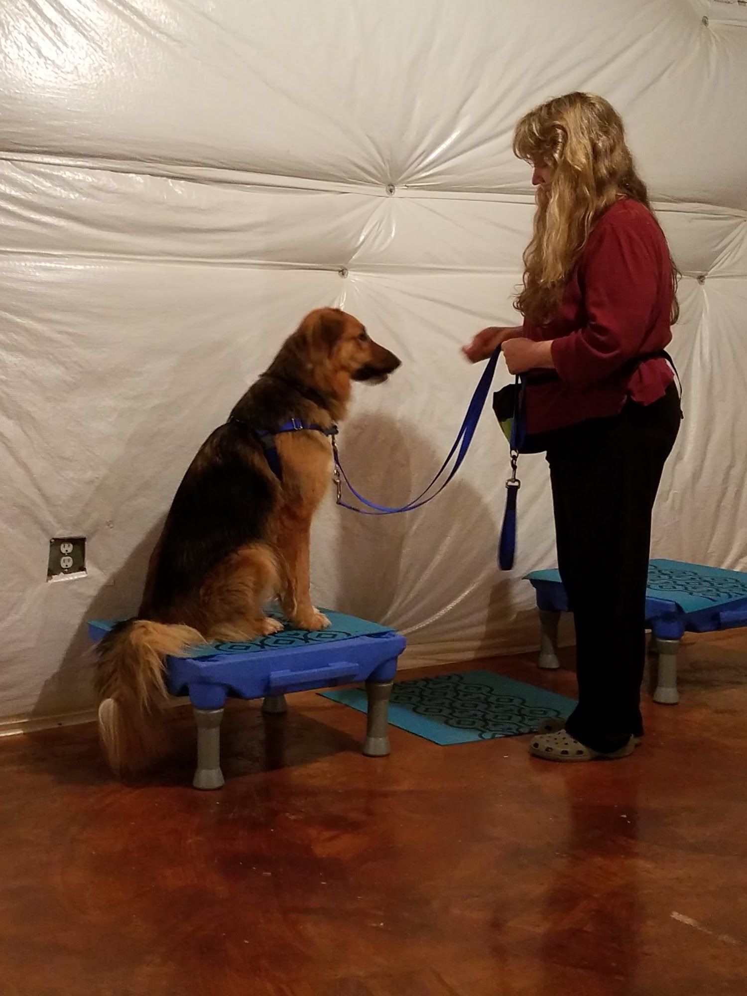 Pawsome Pups Dog Training Purcellville