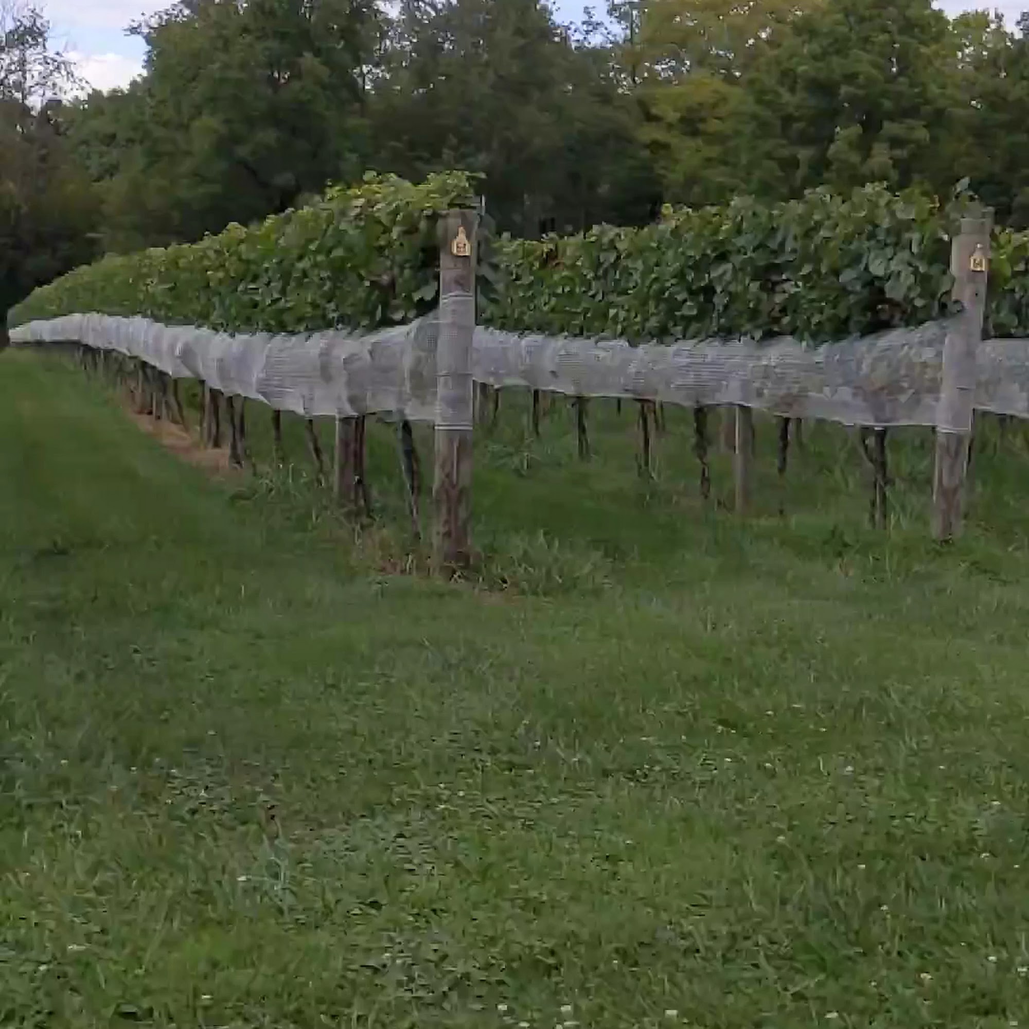 Two Twisted Posts Winery & Tavern Purcellville