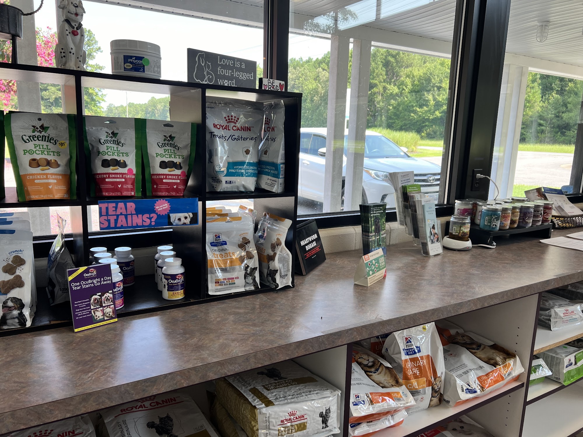 VCA New Kent Animal Hospital Quinton