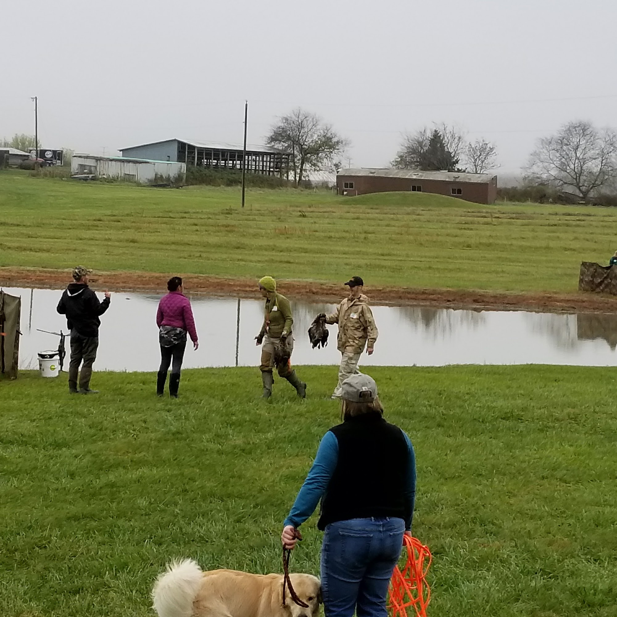 Shady Grove Kennel Remington