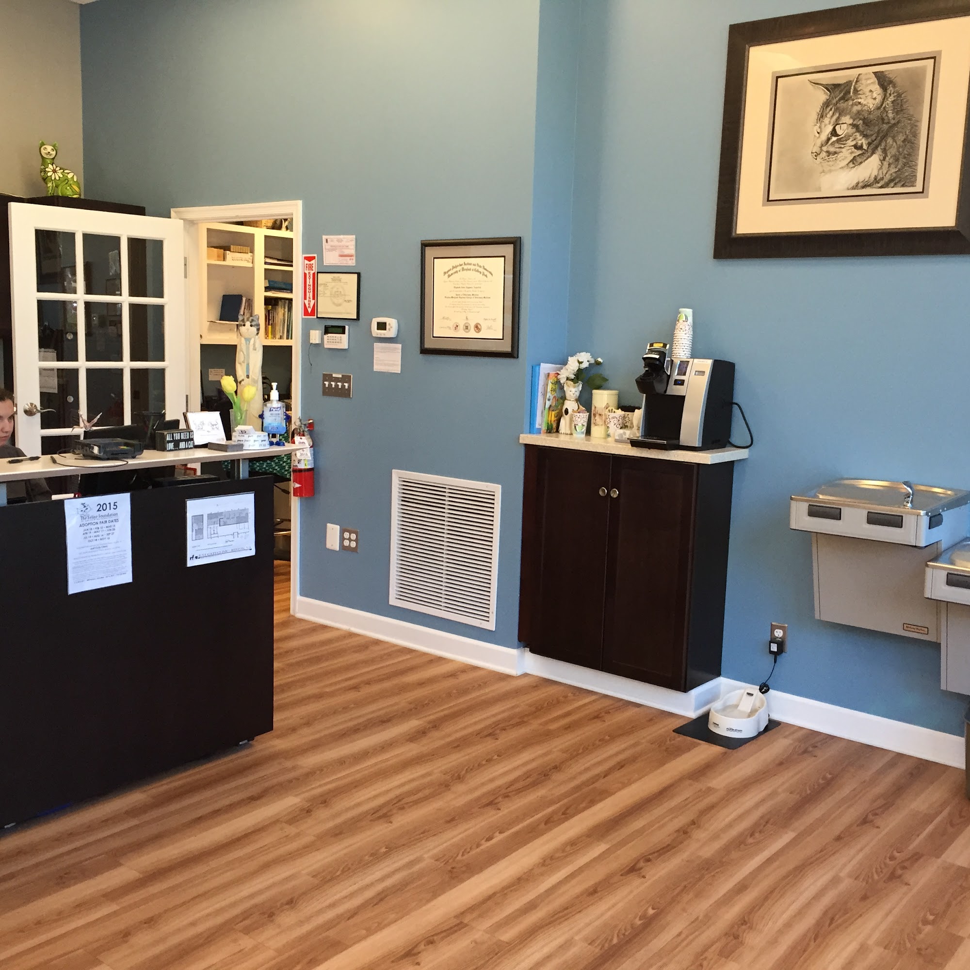 Just Cats Clinic Reston