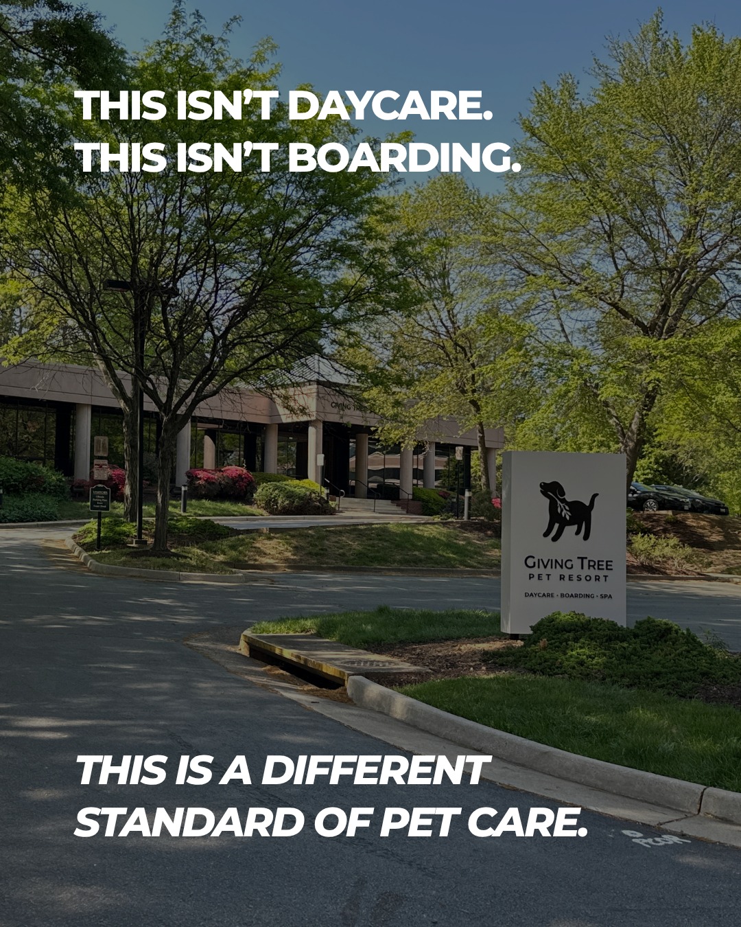 Giving Tree Pet Resort Reston