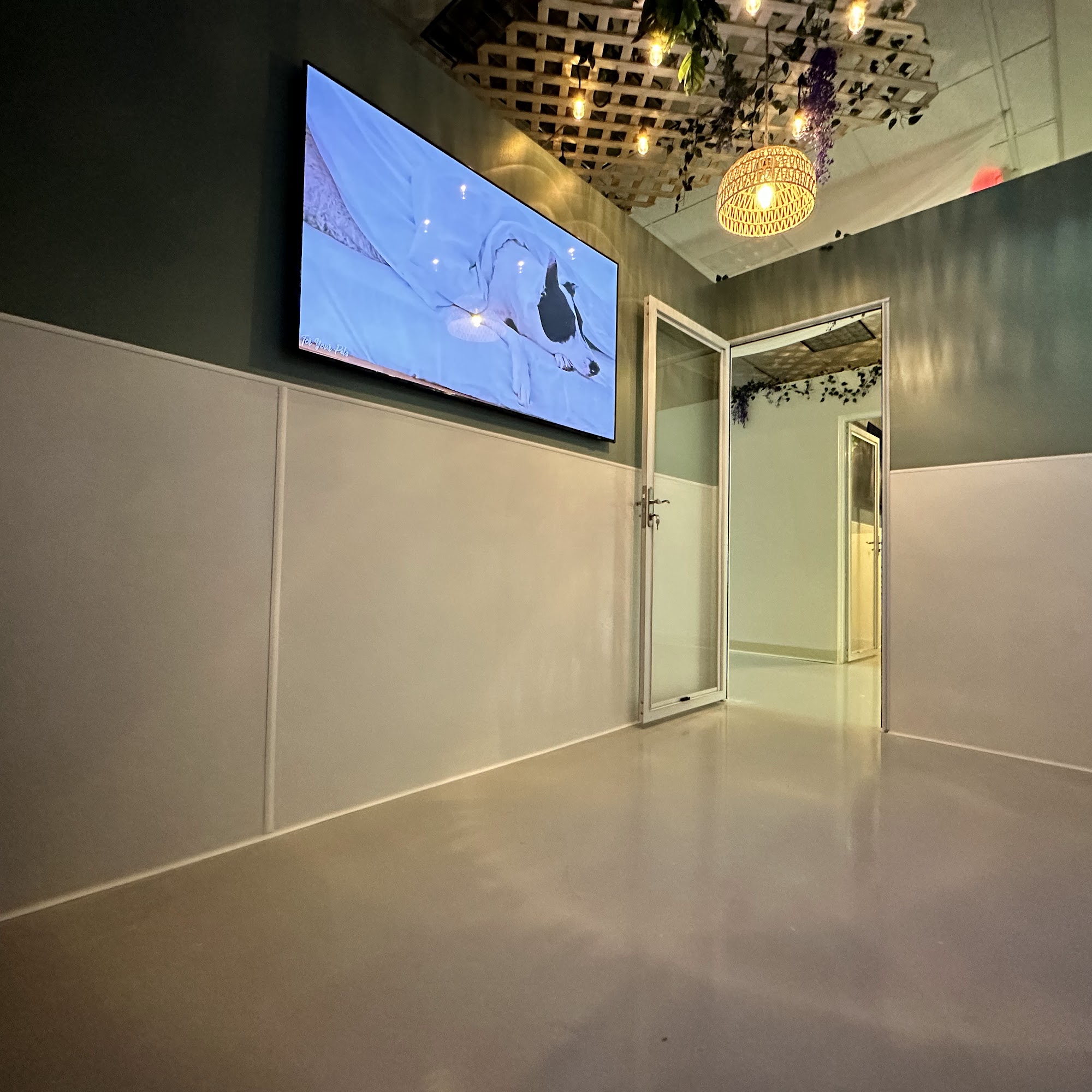 Giving Tree Pet Resort Reston