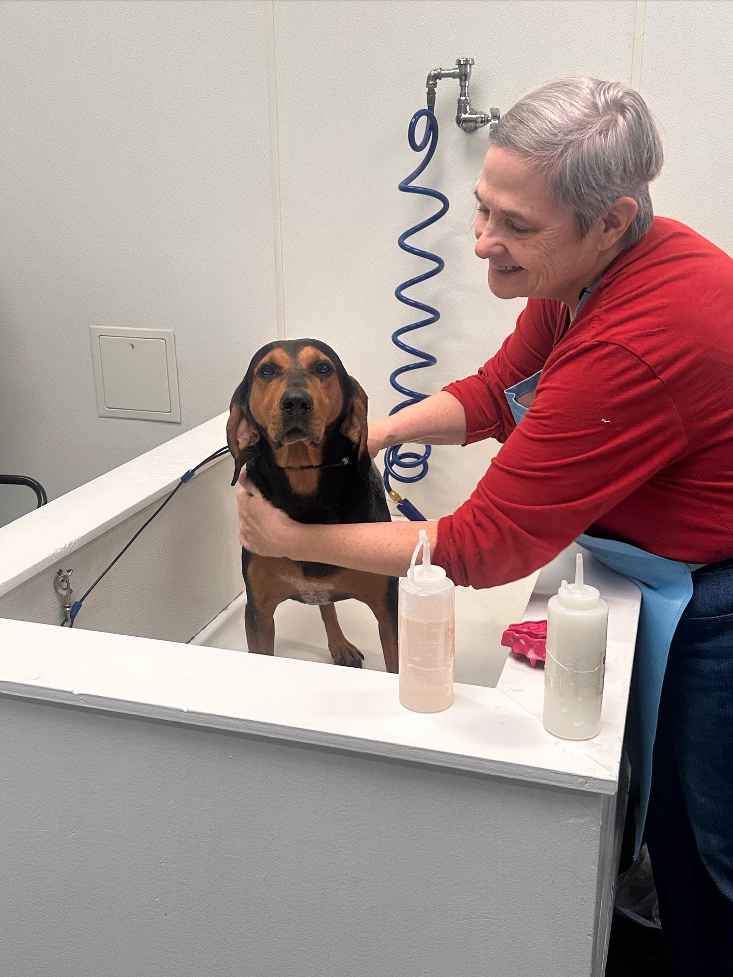 Diamonds and Dutch Pet Bath & Spa Richmond