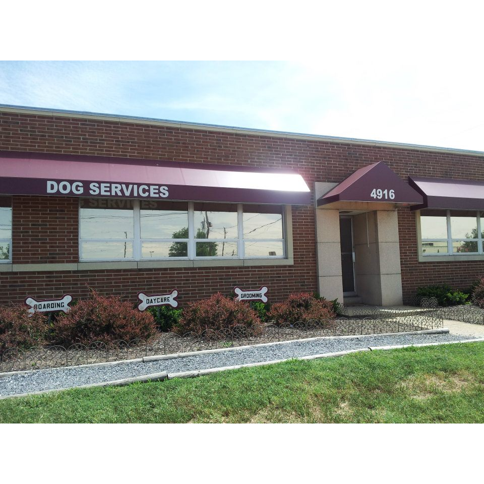 Little DogServices Richmond