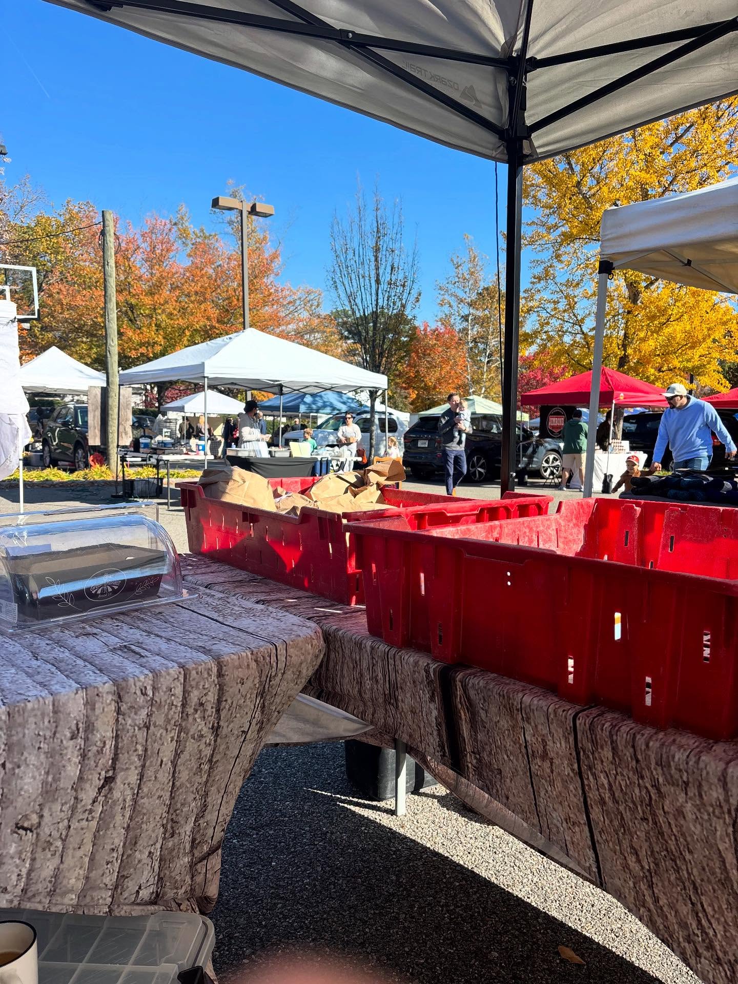 Europa Crust Richmond