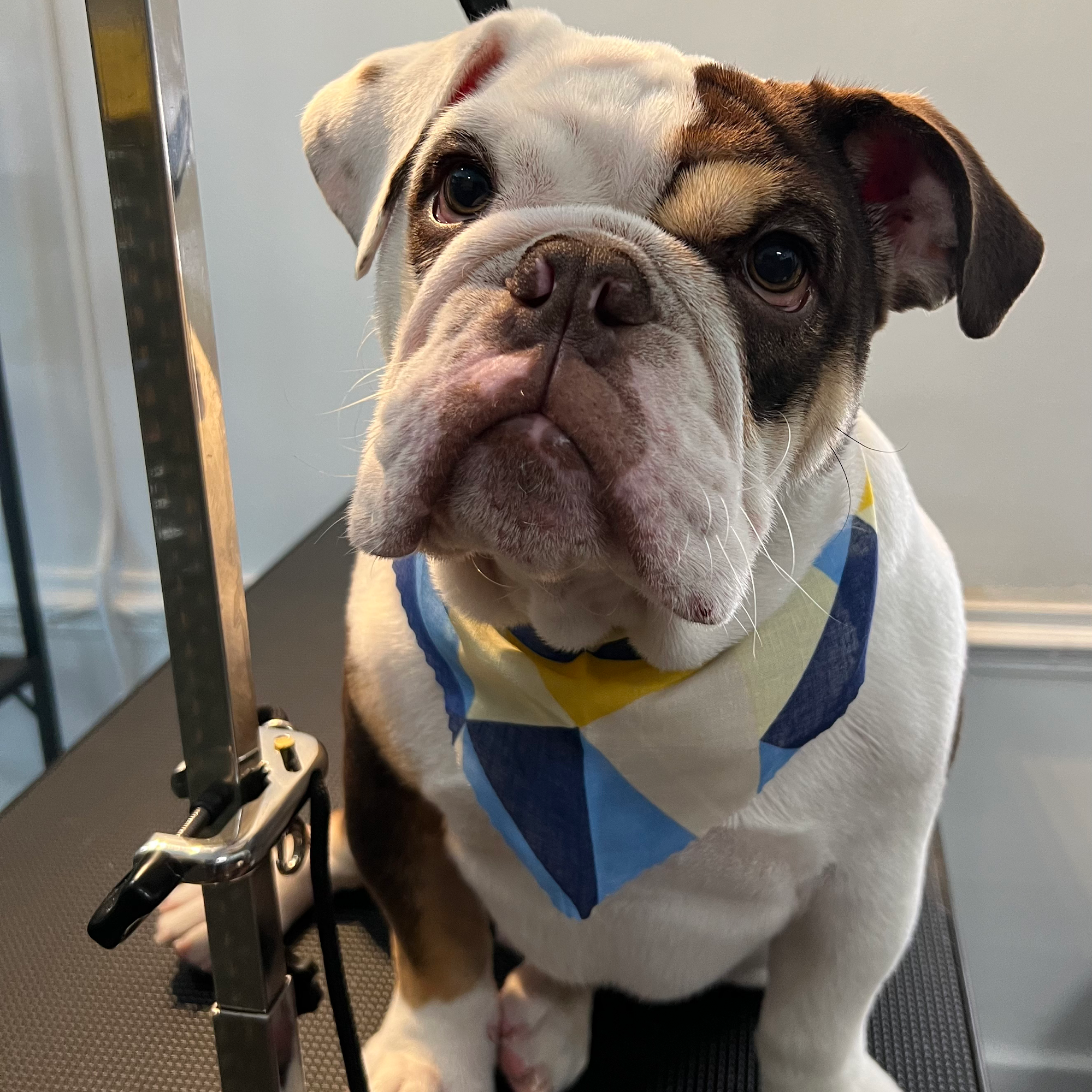 Manchester Groom Saloon, LLC Richmond