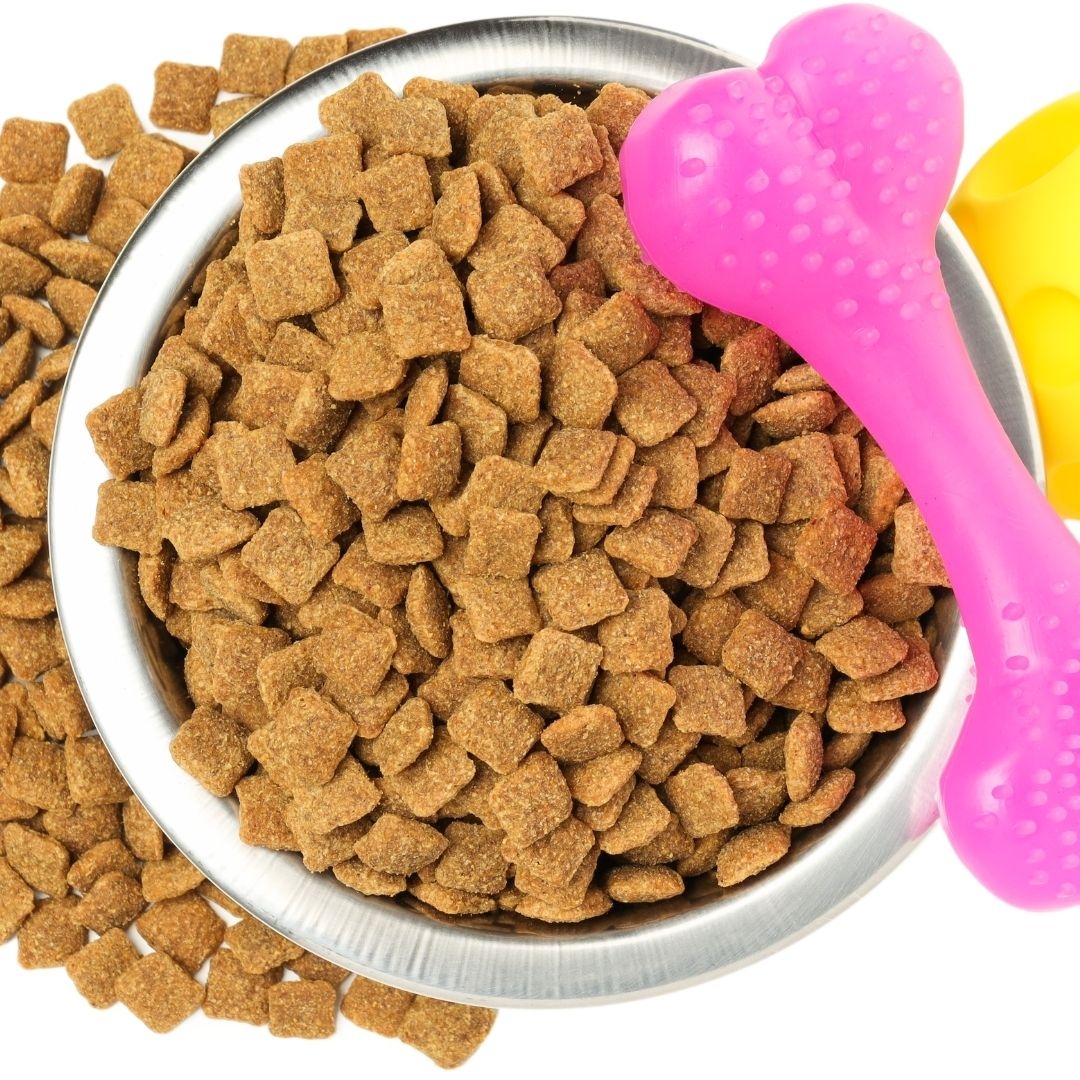 All Dog Adventures Richmond