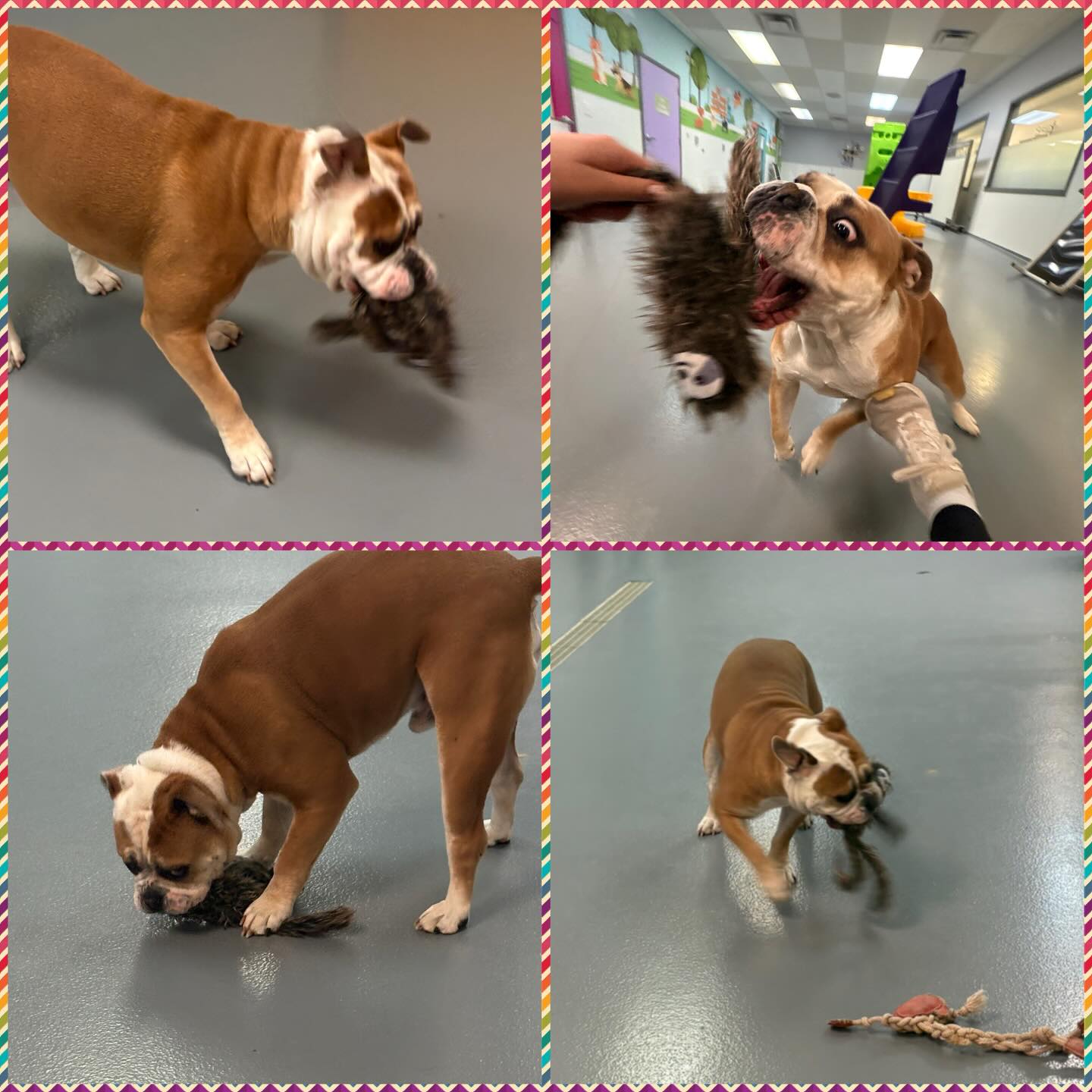 Toby Town RVA Richmond