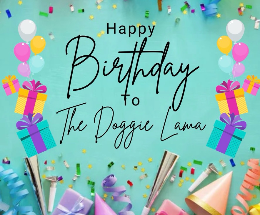 The Doggie Llama Richmond