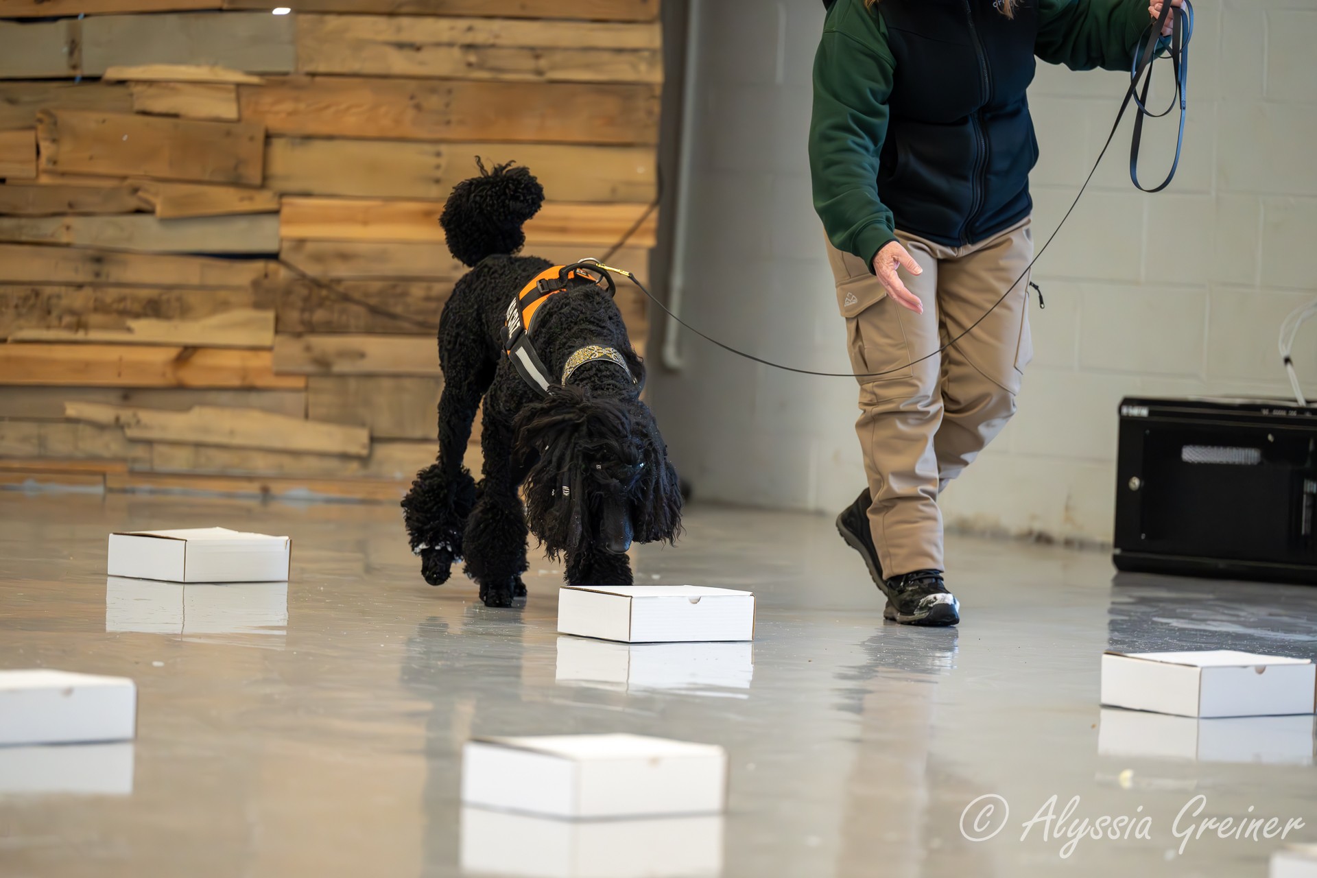 Richmond Dog Obedience Club Richmond