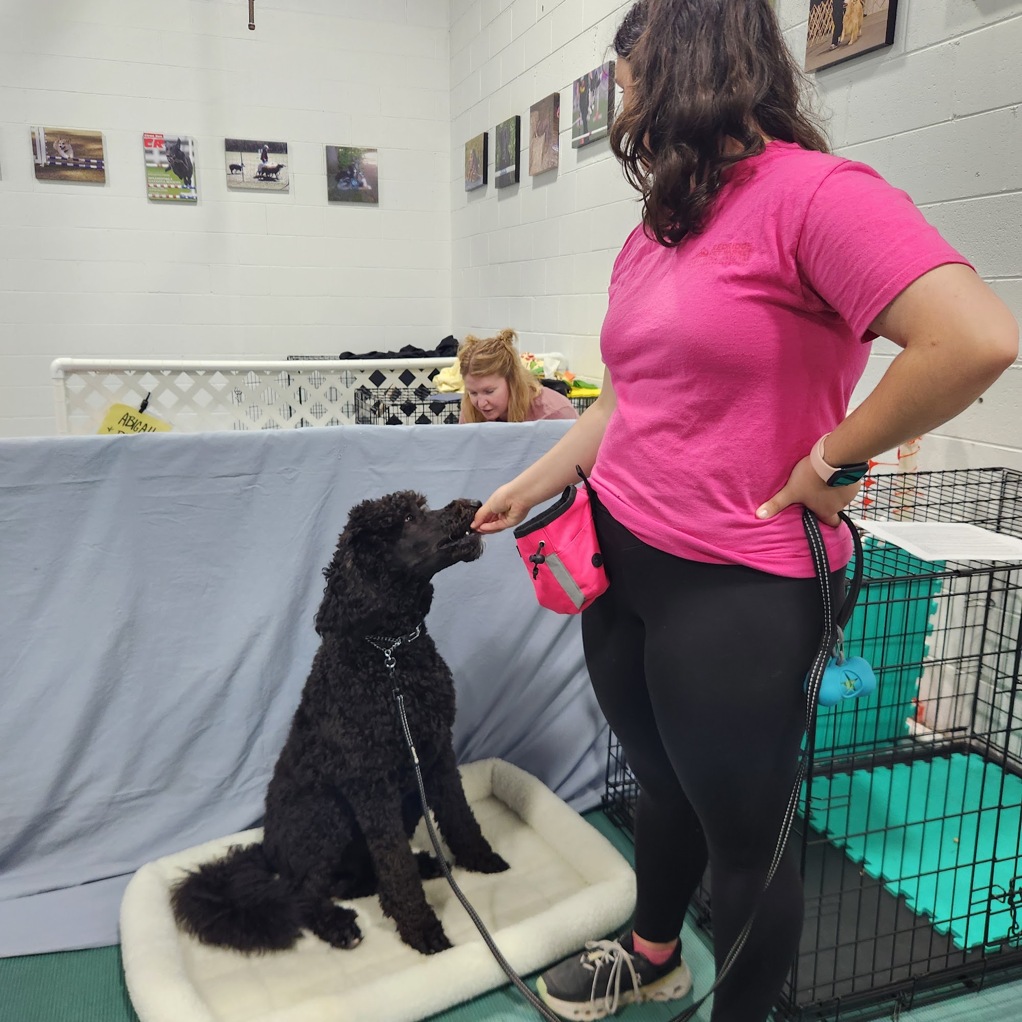 Richmond Dog Obedience Club Richmond