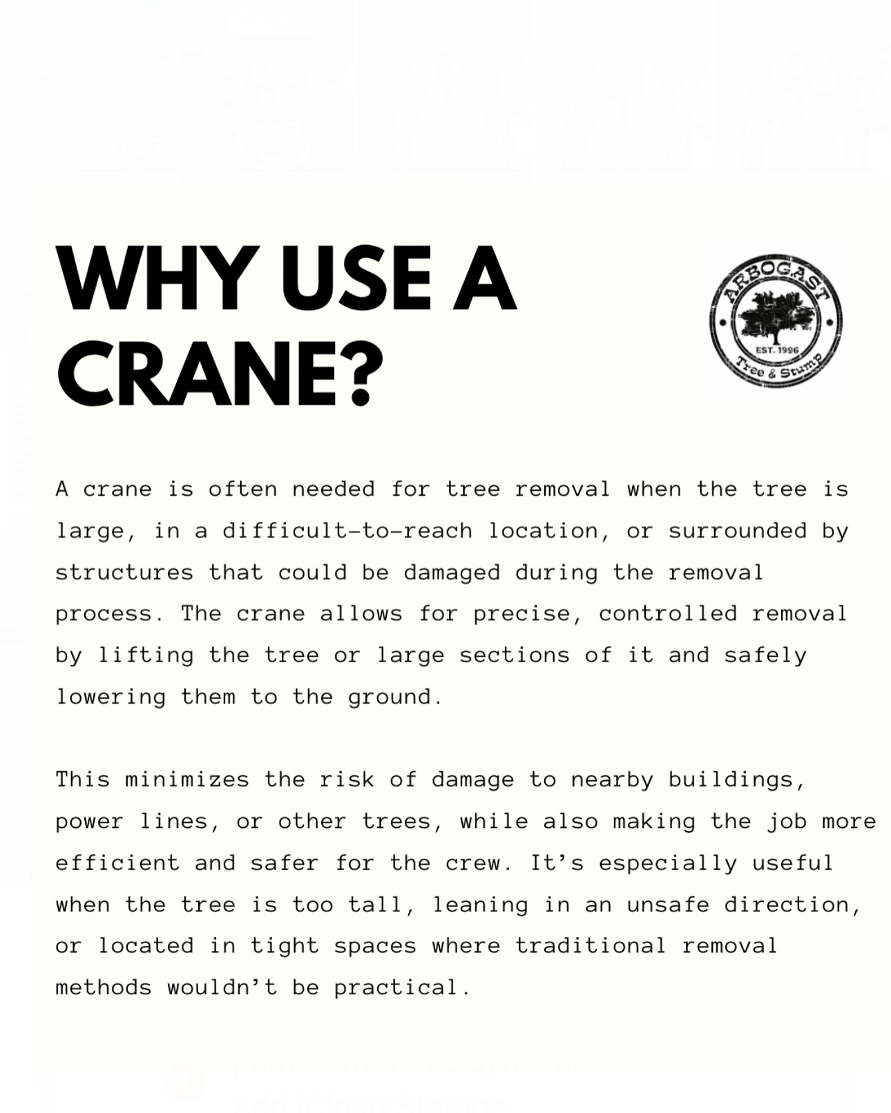 Arbogast Tree and Stump 6814 Kirkwood St, Richmond Virginia 23228