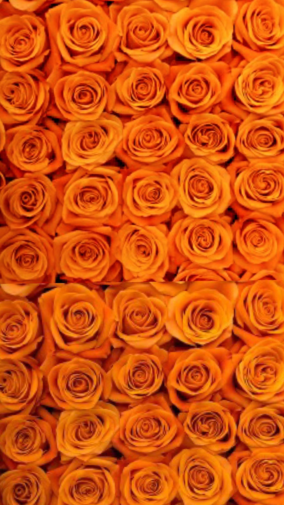 Seasons Restaurant & Bar