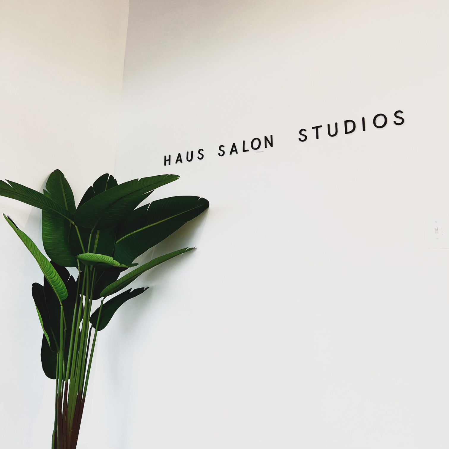 Haus Salon Studios