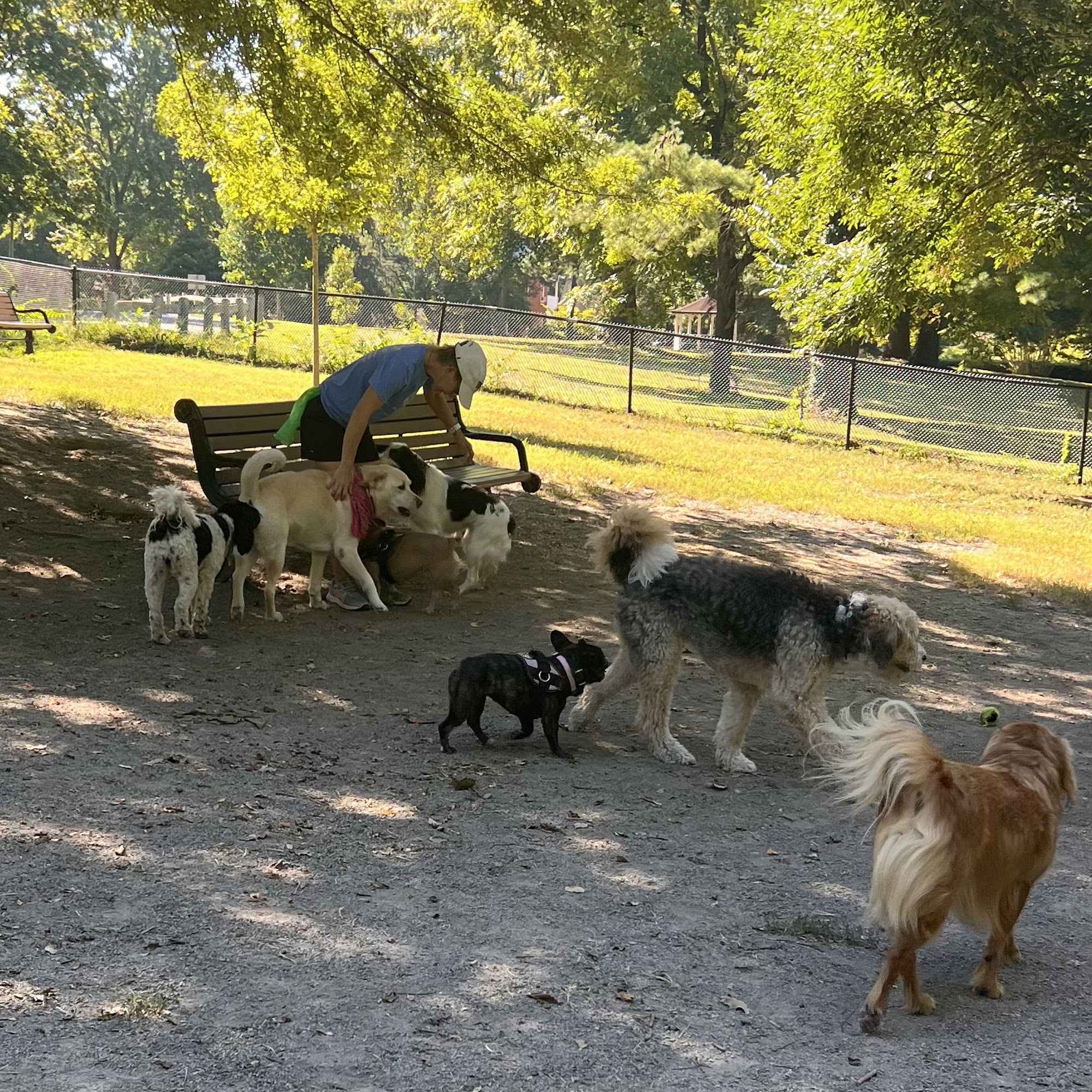 Highland Dog Park Roanoke