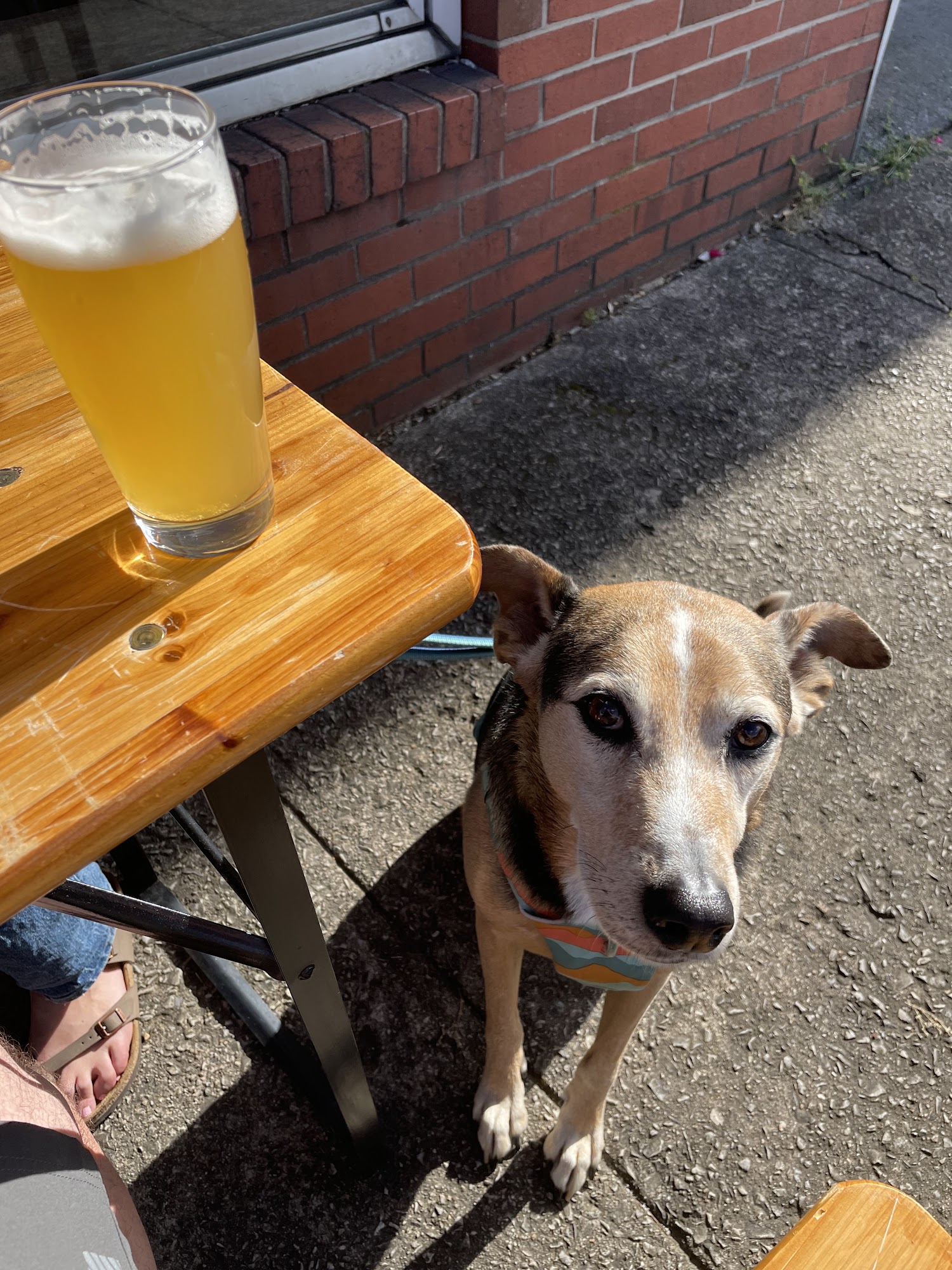 Blindhouse Beer Company Menu