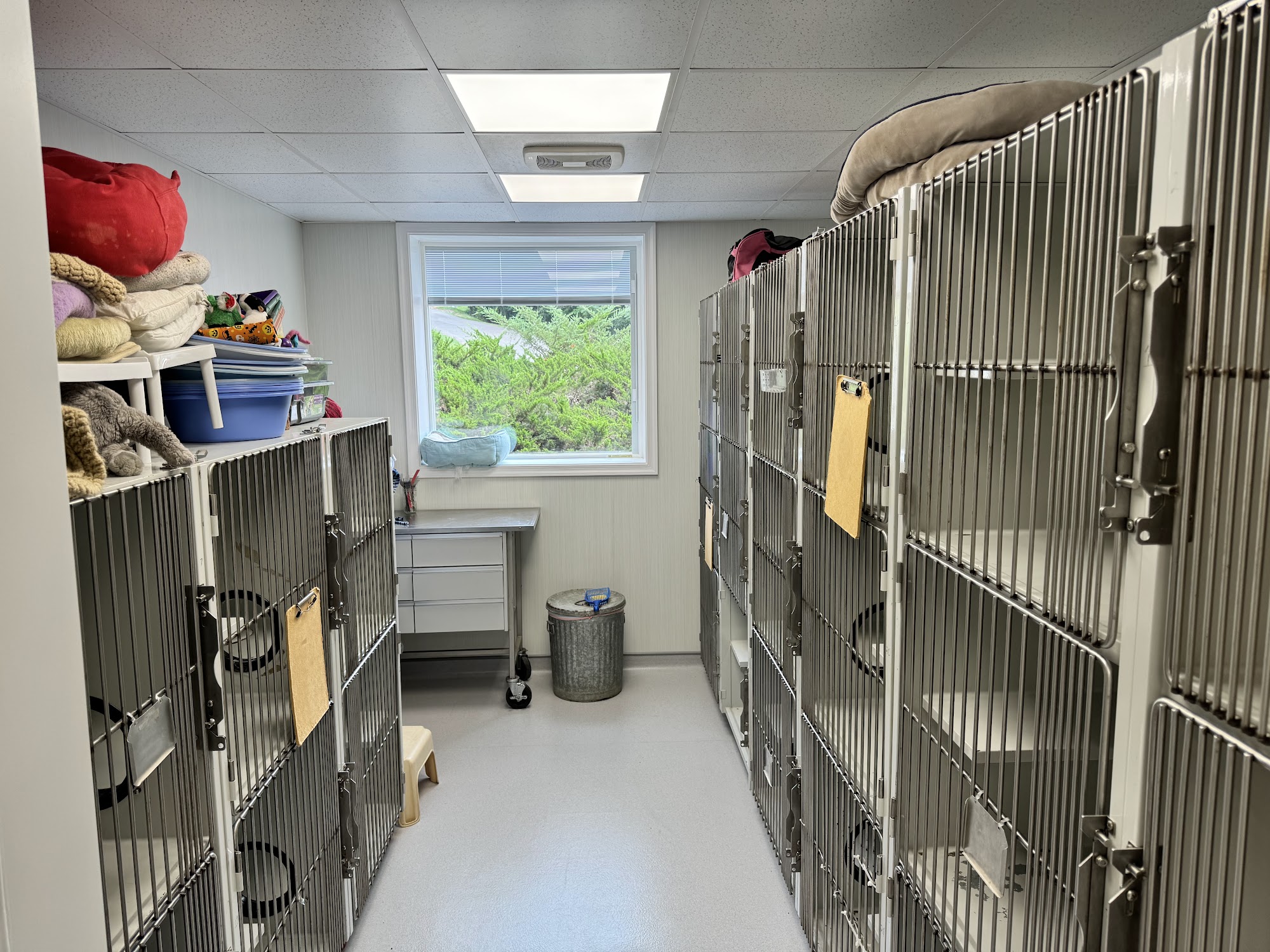 Pet Clinic of Rocky Mount Rocky Mount