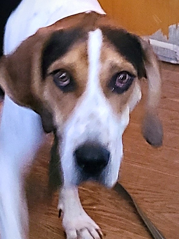 Planned Pethood Clinics Rocky Mount