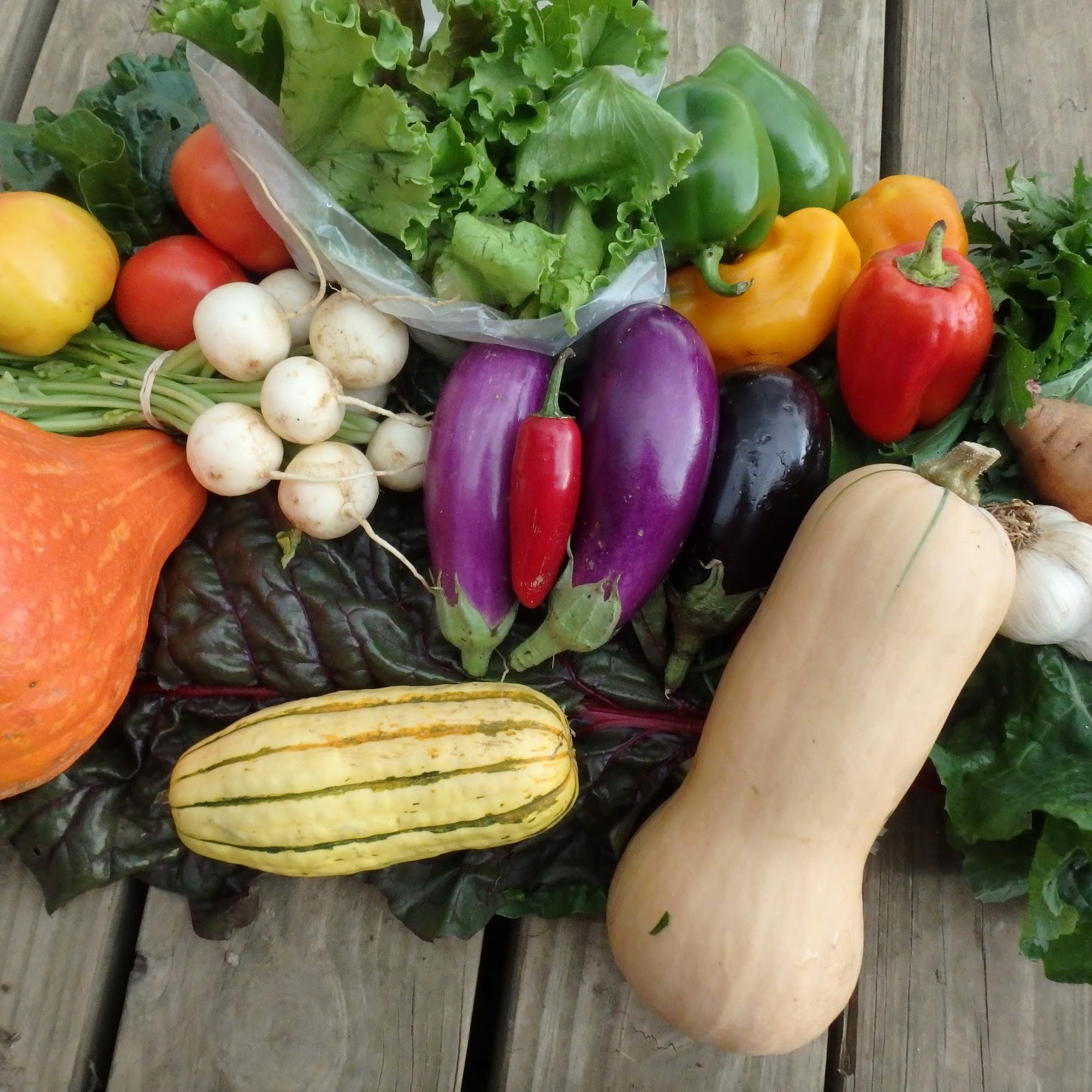 Waterpenny Farm Sperryville