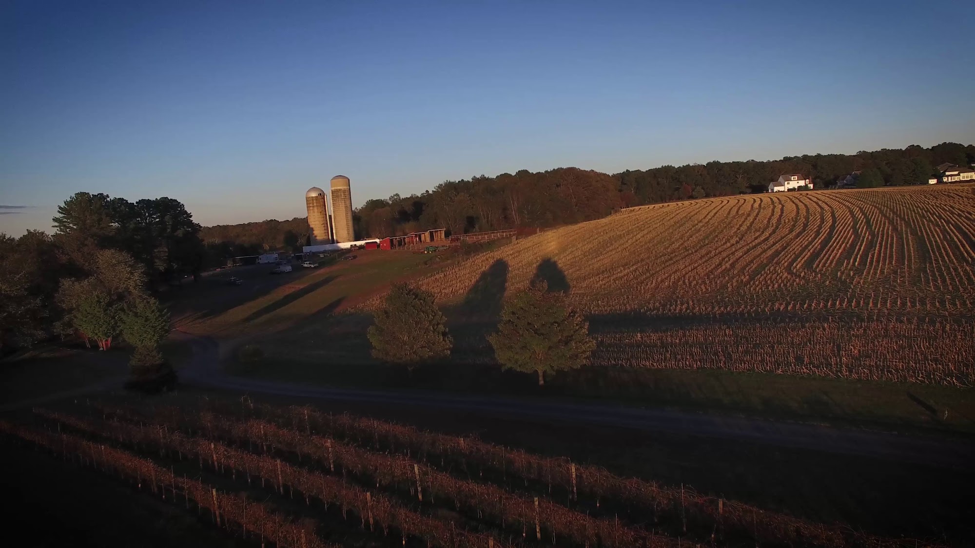 Wilderness Run Vineyards Menu