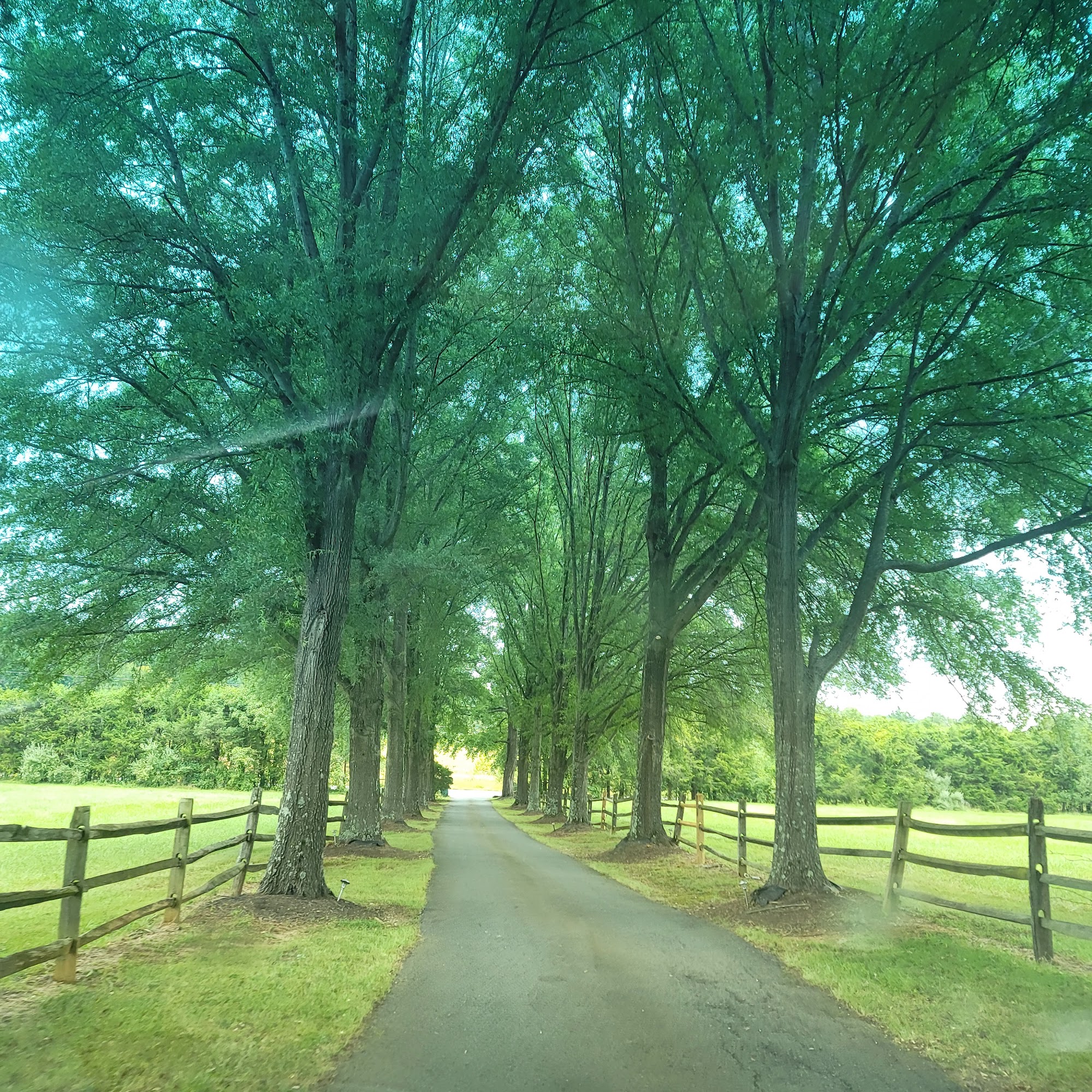 Farthing Victoria Dvm Stafford