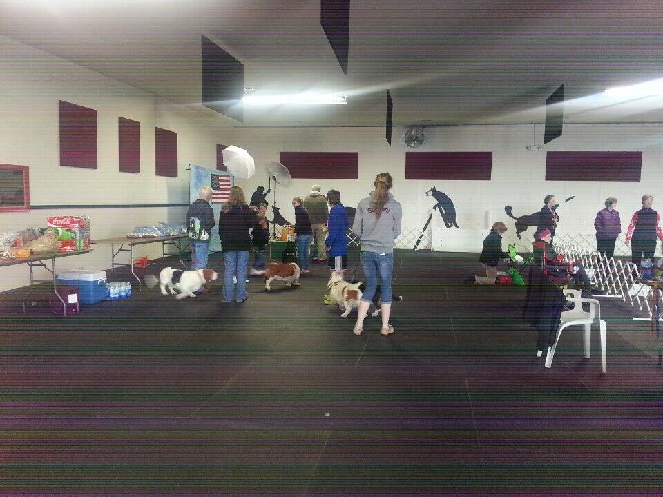 Colonial K-9 Stafford