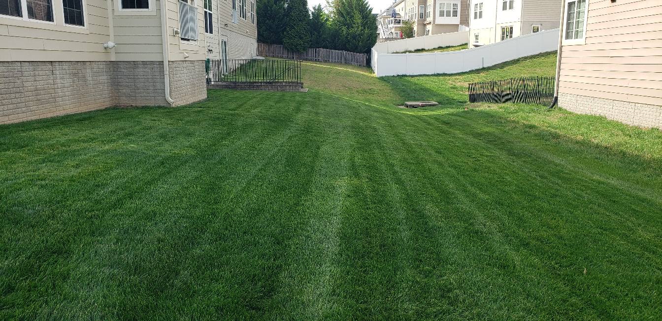 Stafford Lawn Care Services Plus.