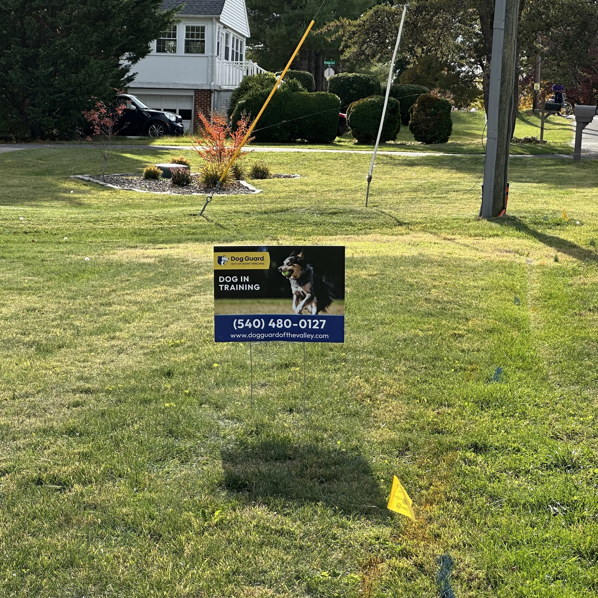 Dog Guard of the Valley Staunton
